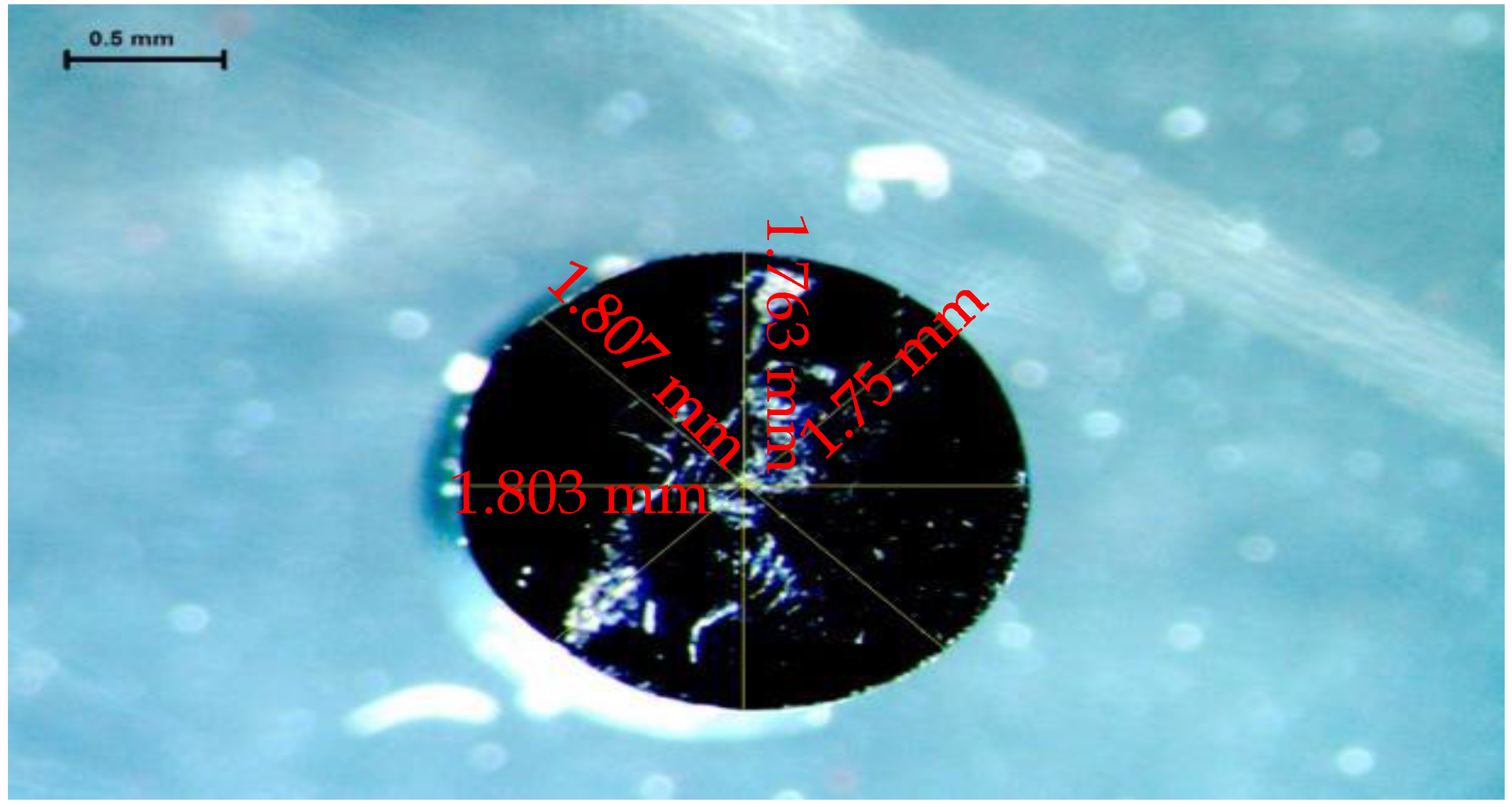 Sustainability 15 05004 g005