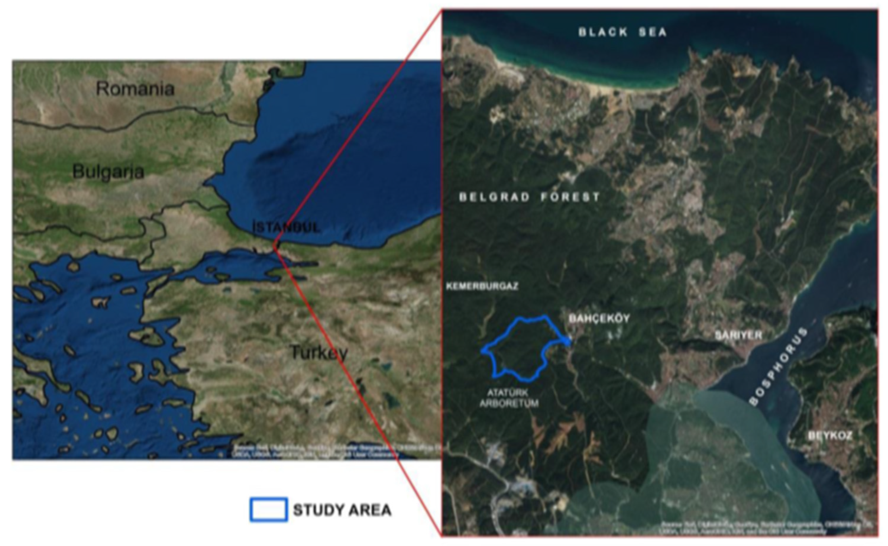 Sustainability 15 05208 g001