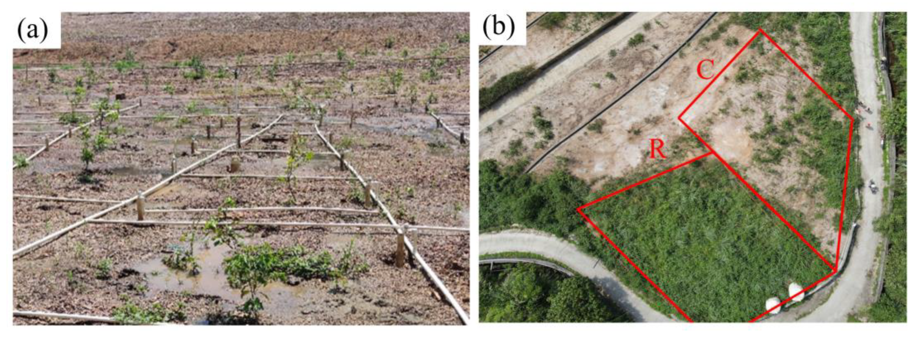 Sustainability 15 05215 g007