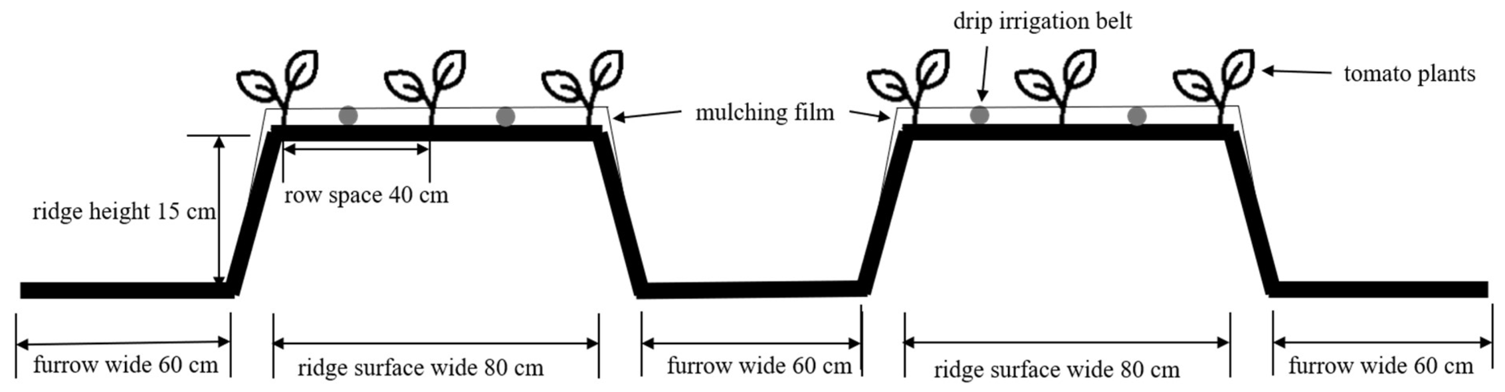 Sustainability 15 05220 g001 Sustainability 15 05220 g001