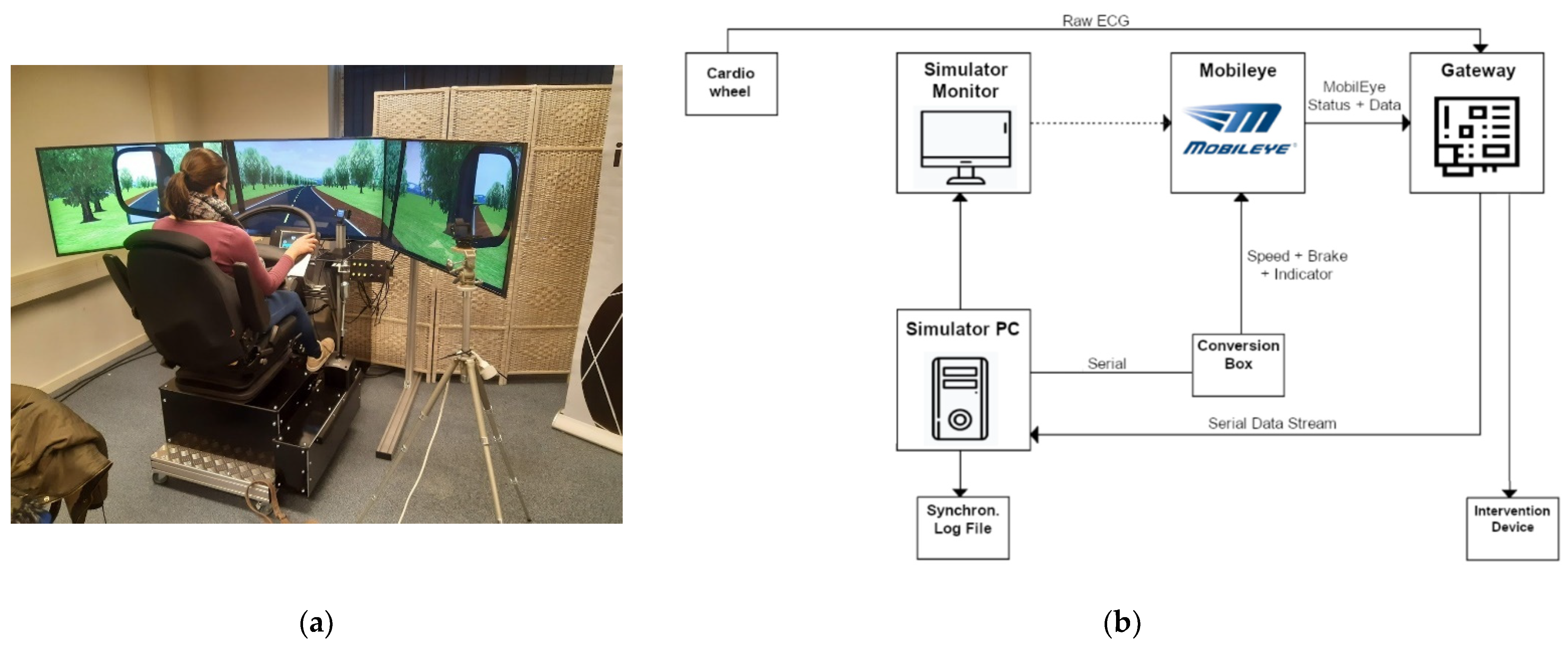 Sustainability 15 05226 g001