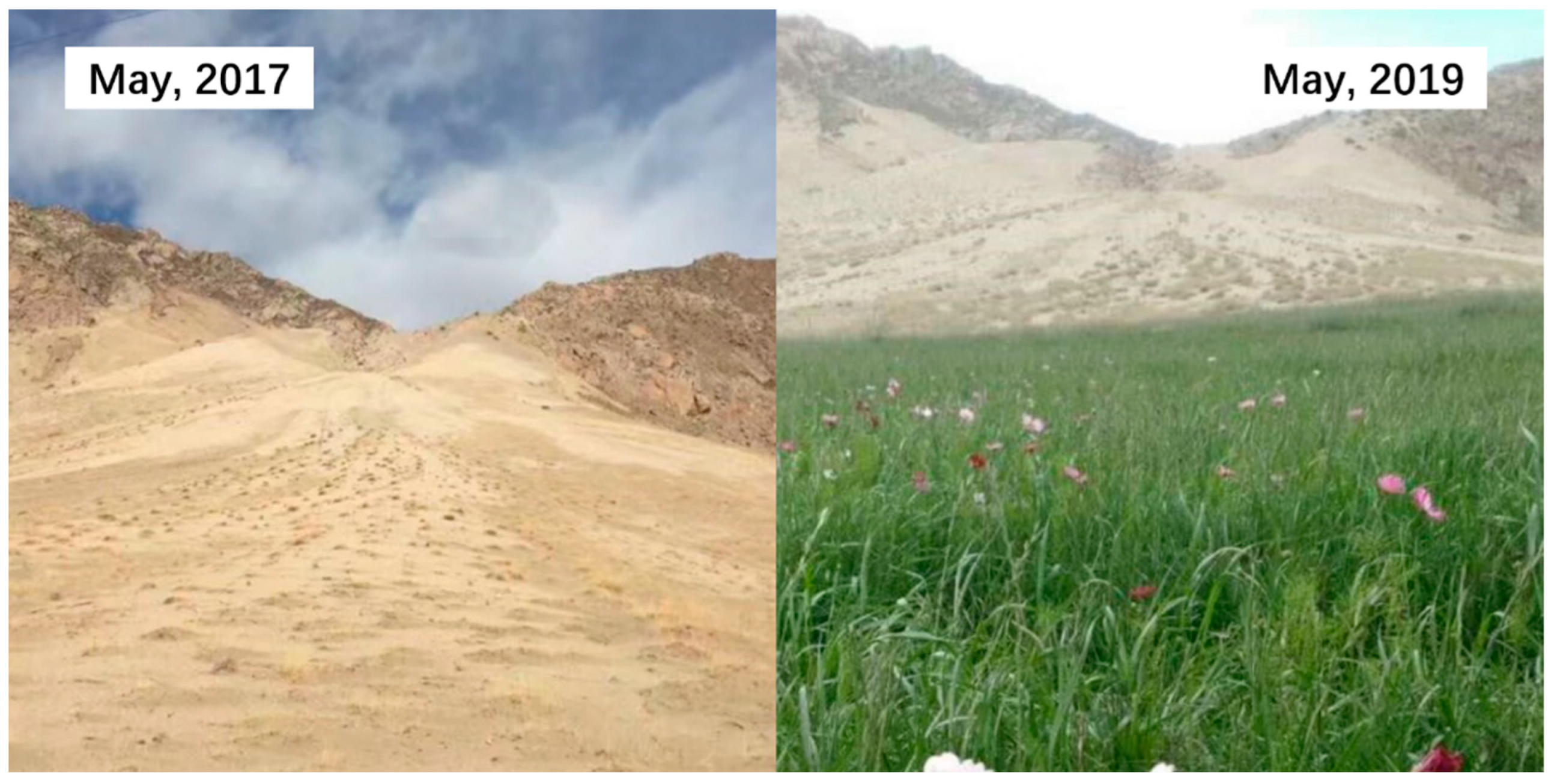 Sustainability 15 05354 g001 Sustainability 15 05354 g001