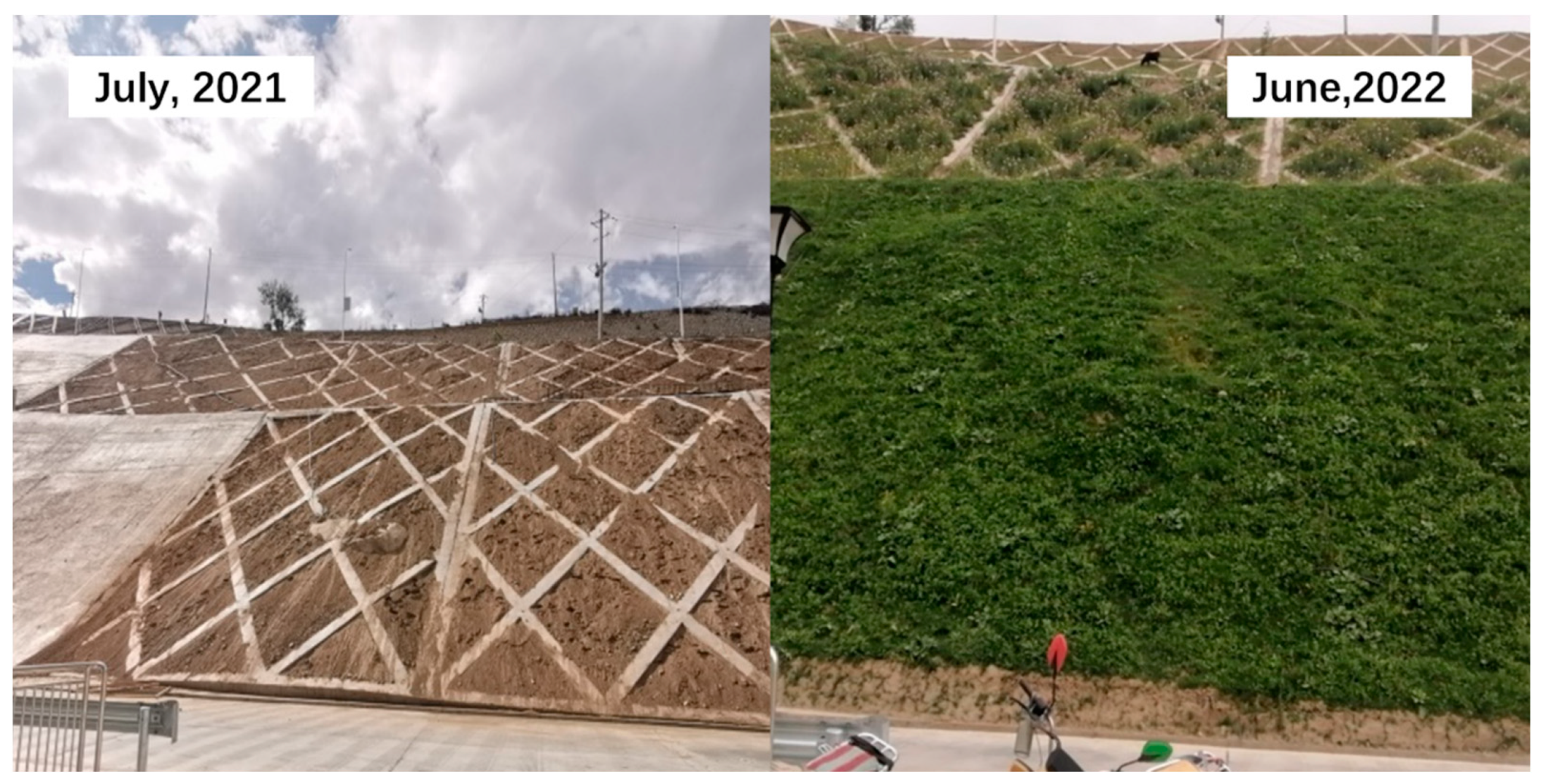 Sustainability 15 05354 g002 Sustainability 15 05354 g002