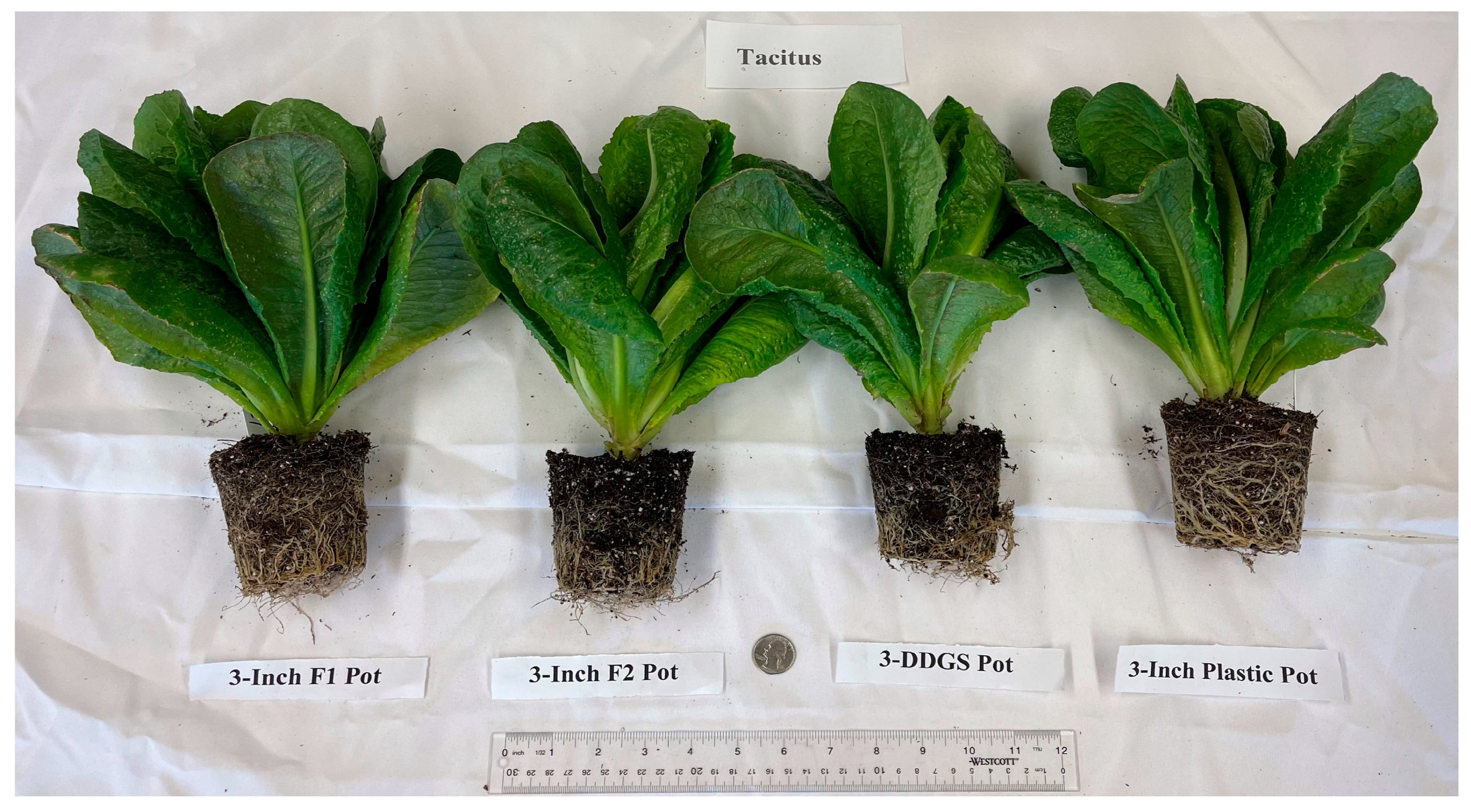 Sustainability 15 05373 g005 Sustainability 15 05373 g005