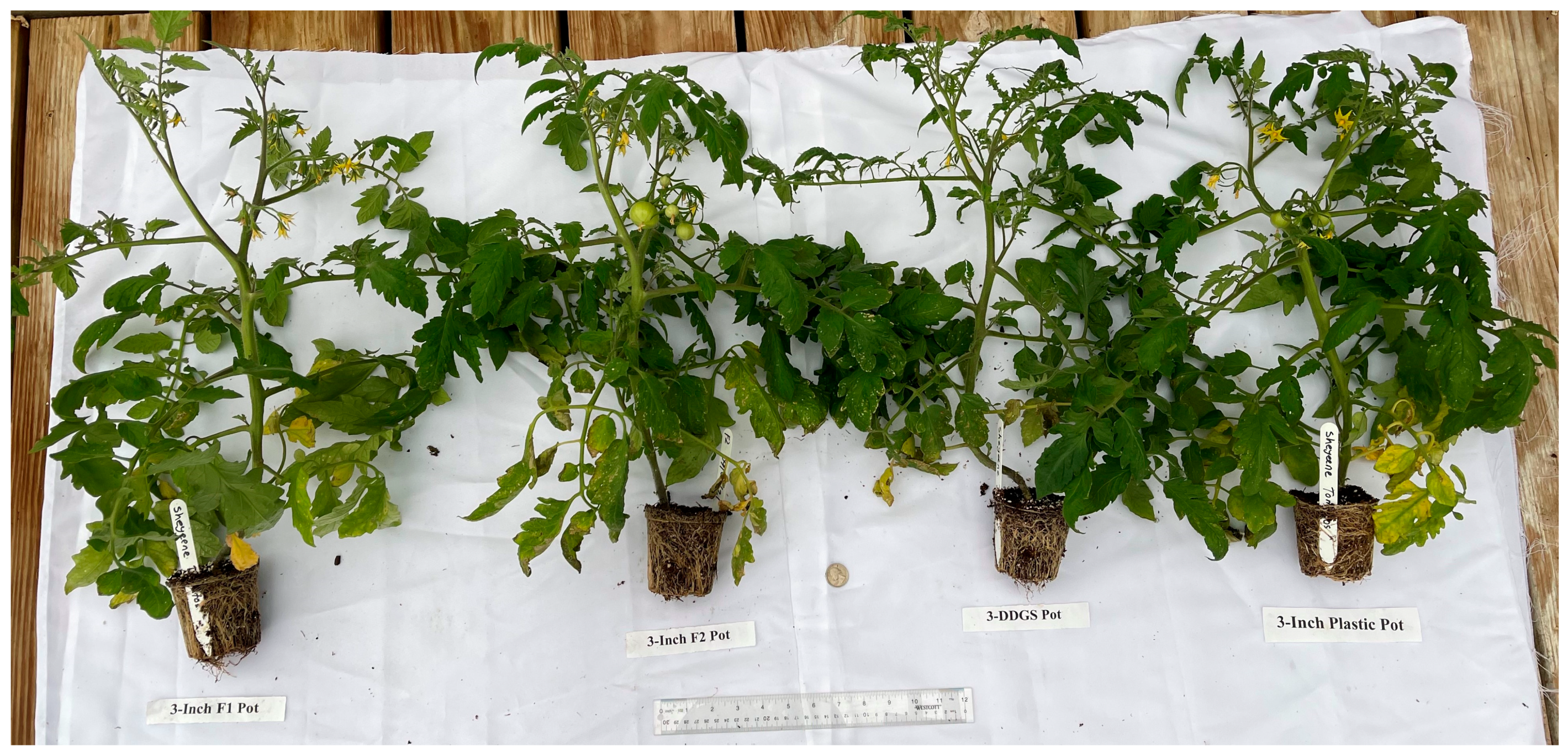 Sustainability 15 05373 g006 Sustainability 15 05373 g006