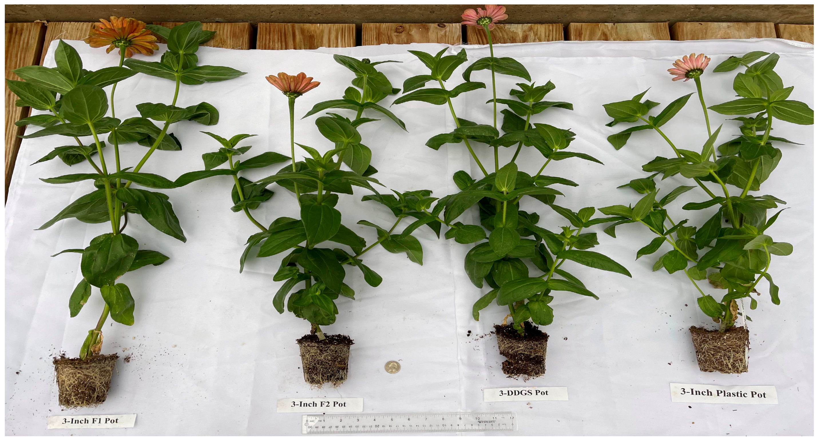 Sustainability 15 05373 g007 Sustainability 15 05373 g007