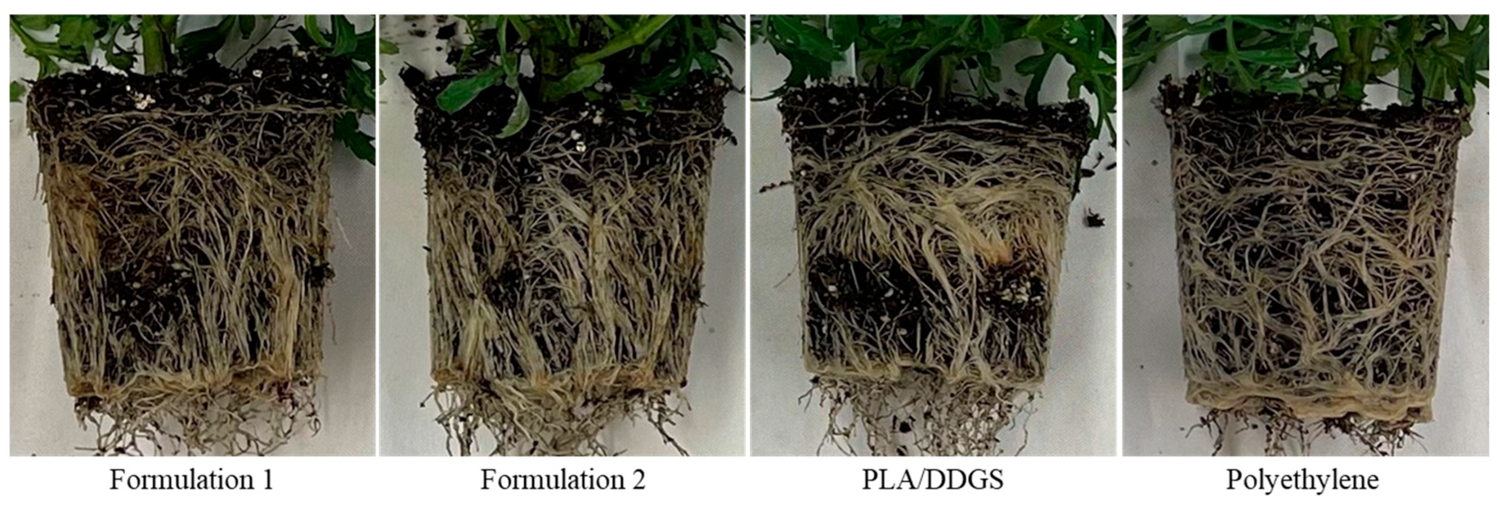 Sustainability 15 05373 g013 Sustainability 15 05373 g013