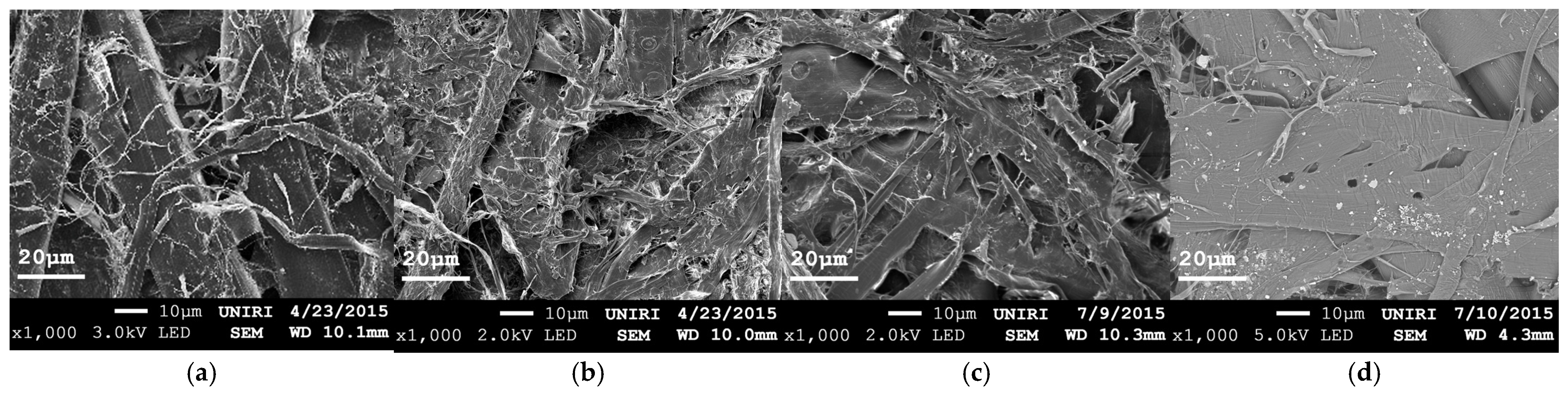 Sustainability 15 05378 g002 Sustainability 15 05378 g002