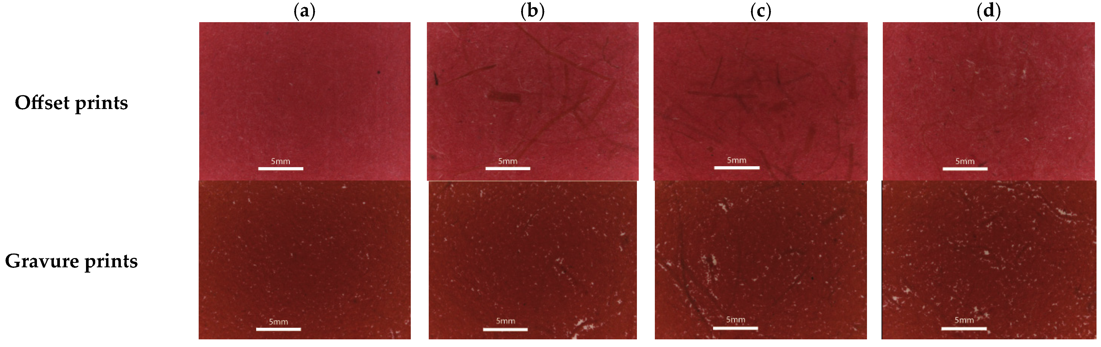 Sustainability 15 05378 g003 Sustainability 15 05378 g003