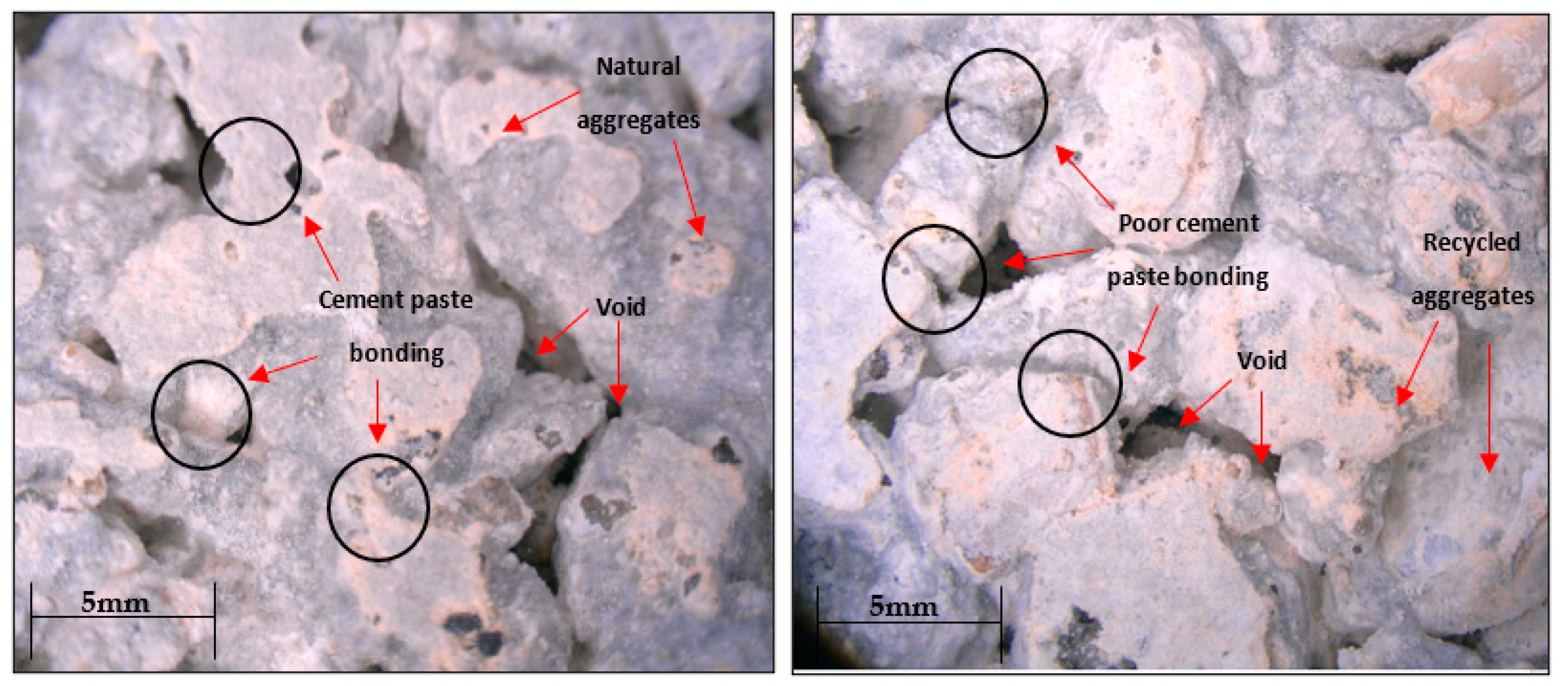 Sustainability 15 05384 g005 Sustainability 15 05384 g005