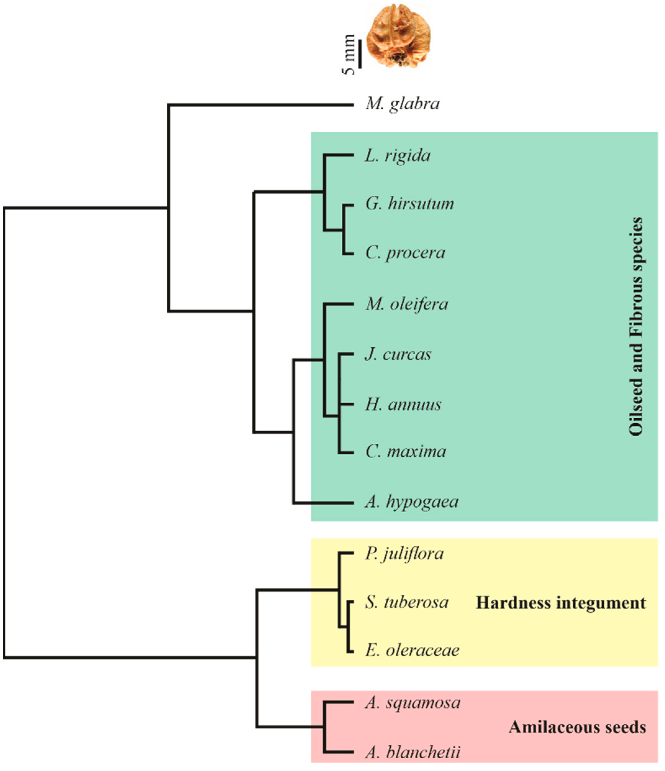 Sustainability 15 05394 g010 Sustainability 15 05394 g010
