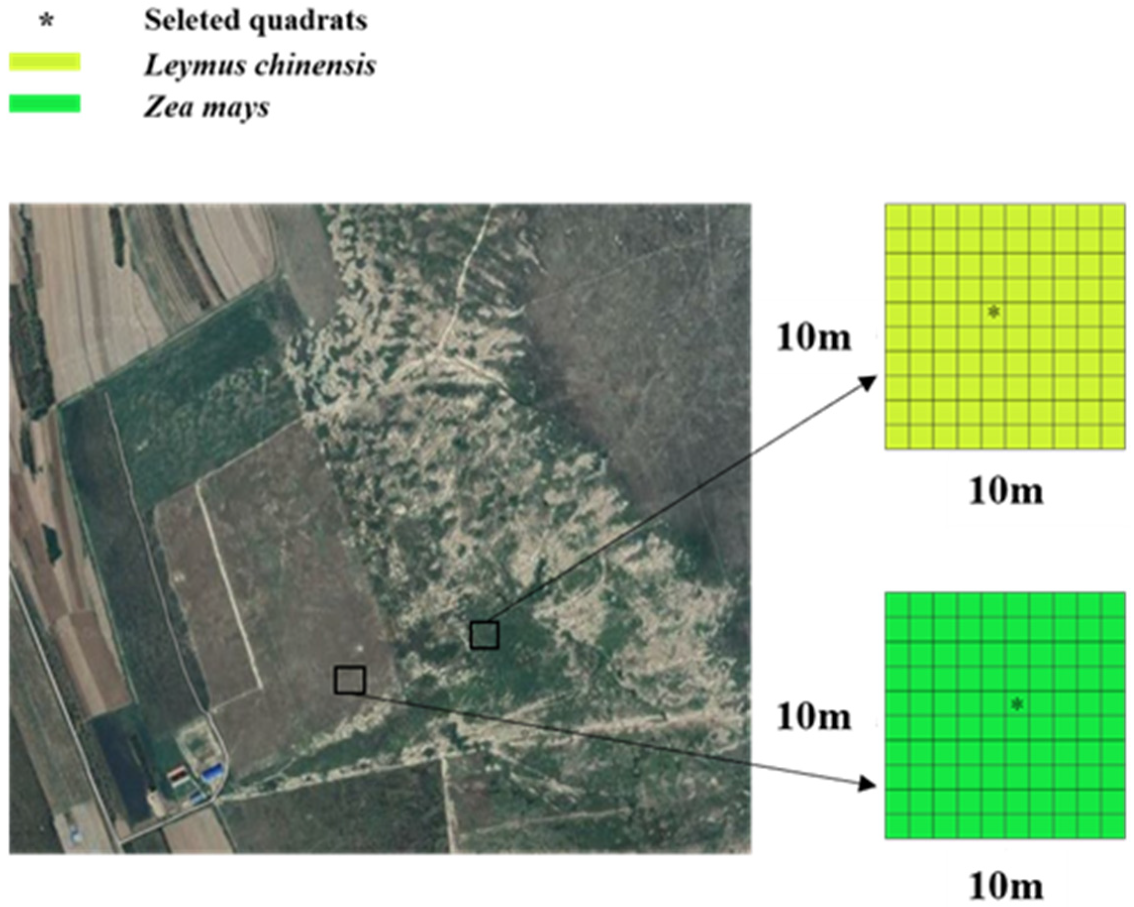 Sustainability 15 05416 g002