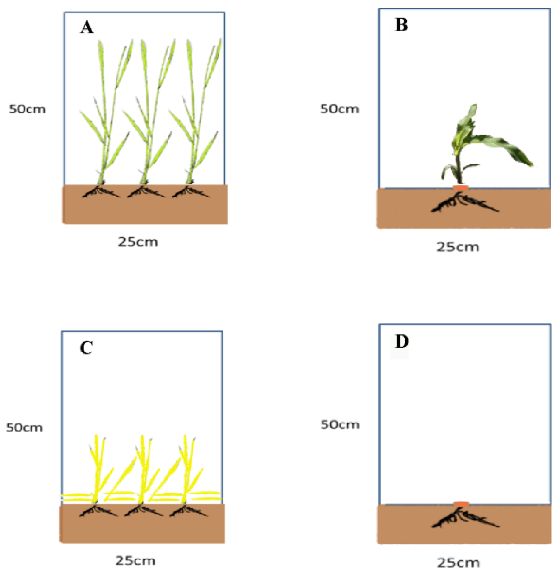 Sustainability 15 05416 g003