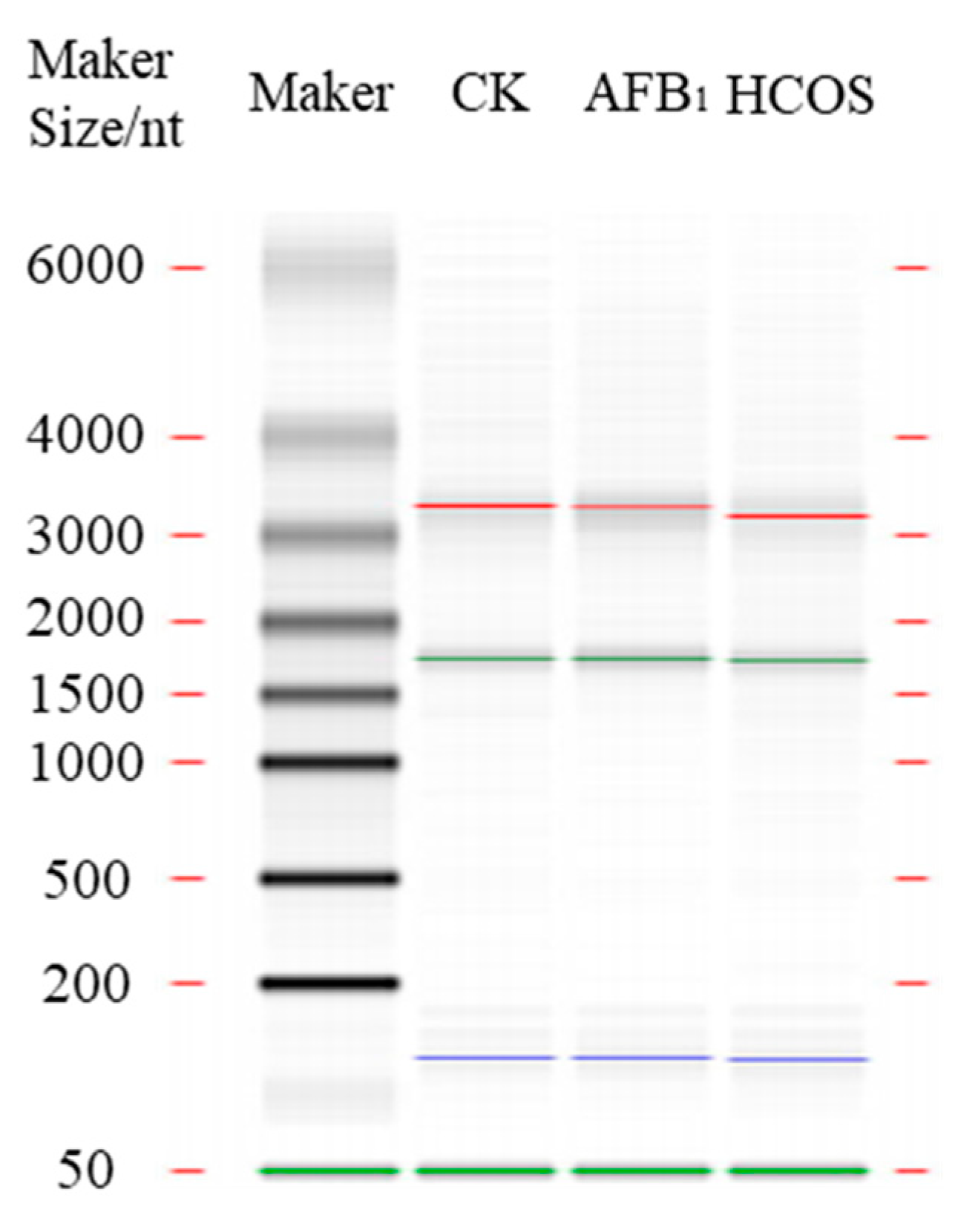 Sustainability 15 05418 g006