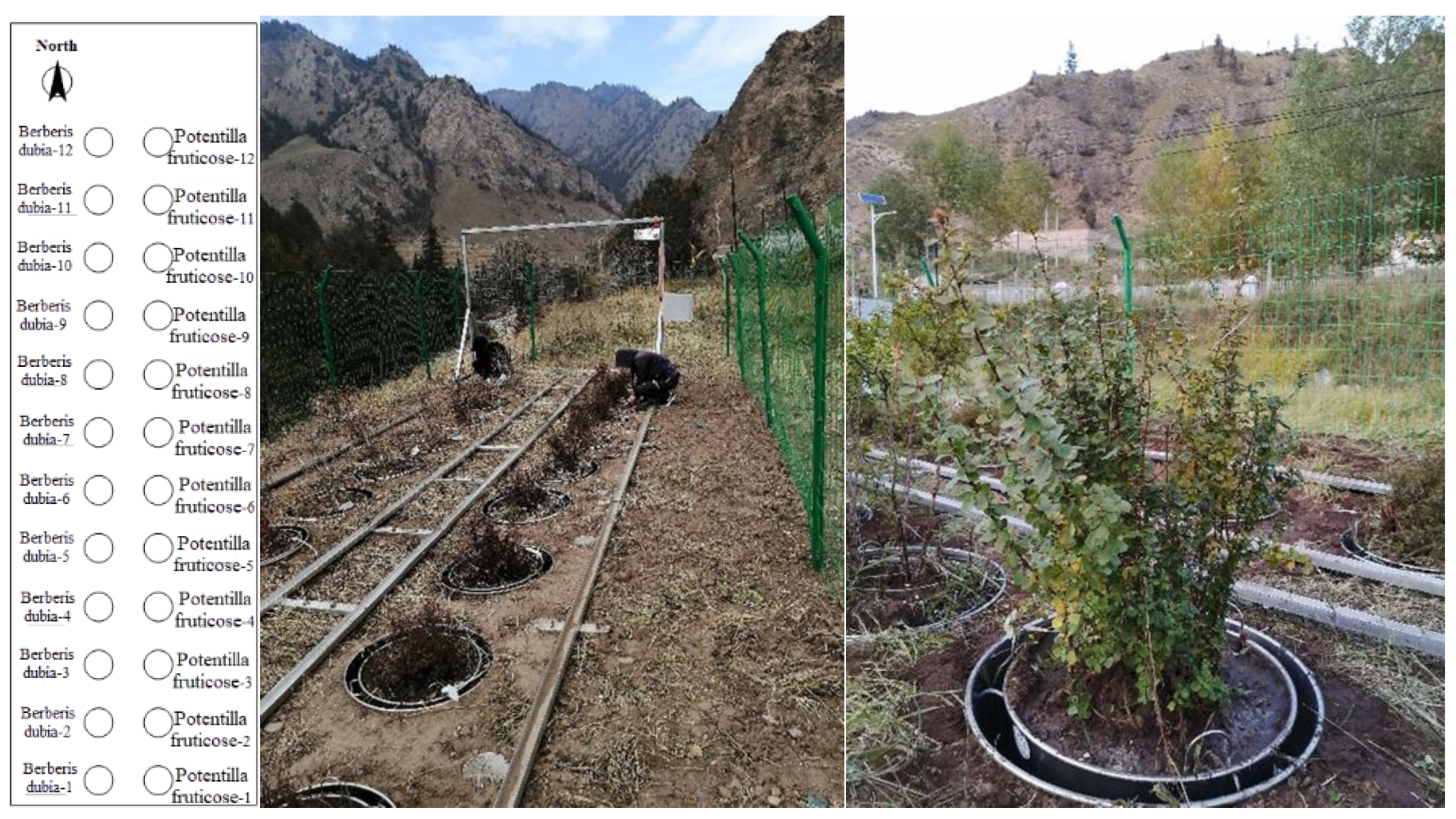 Sustainability 15 05422 g003 Sustainability 15 05422 g003