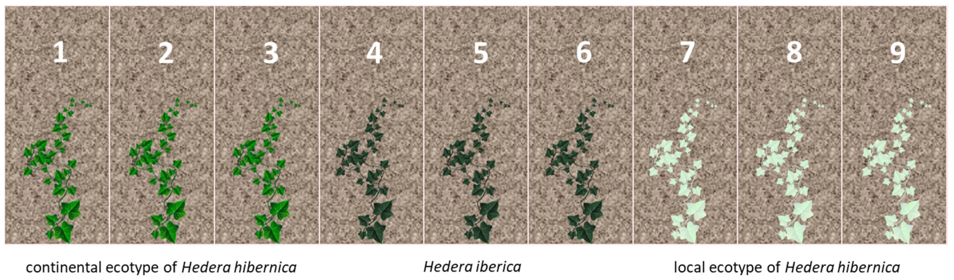 Sustainability 15 05446 g003 Sustainability 15 05446 g003