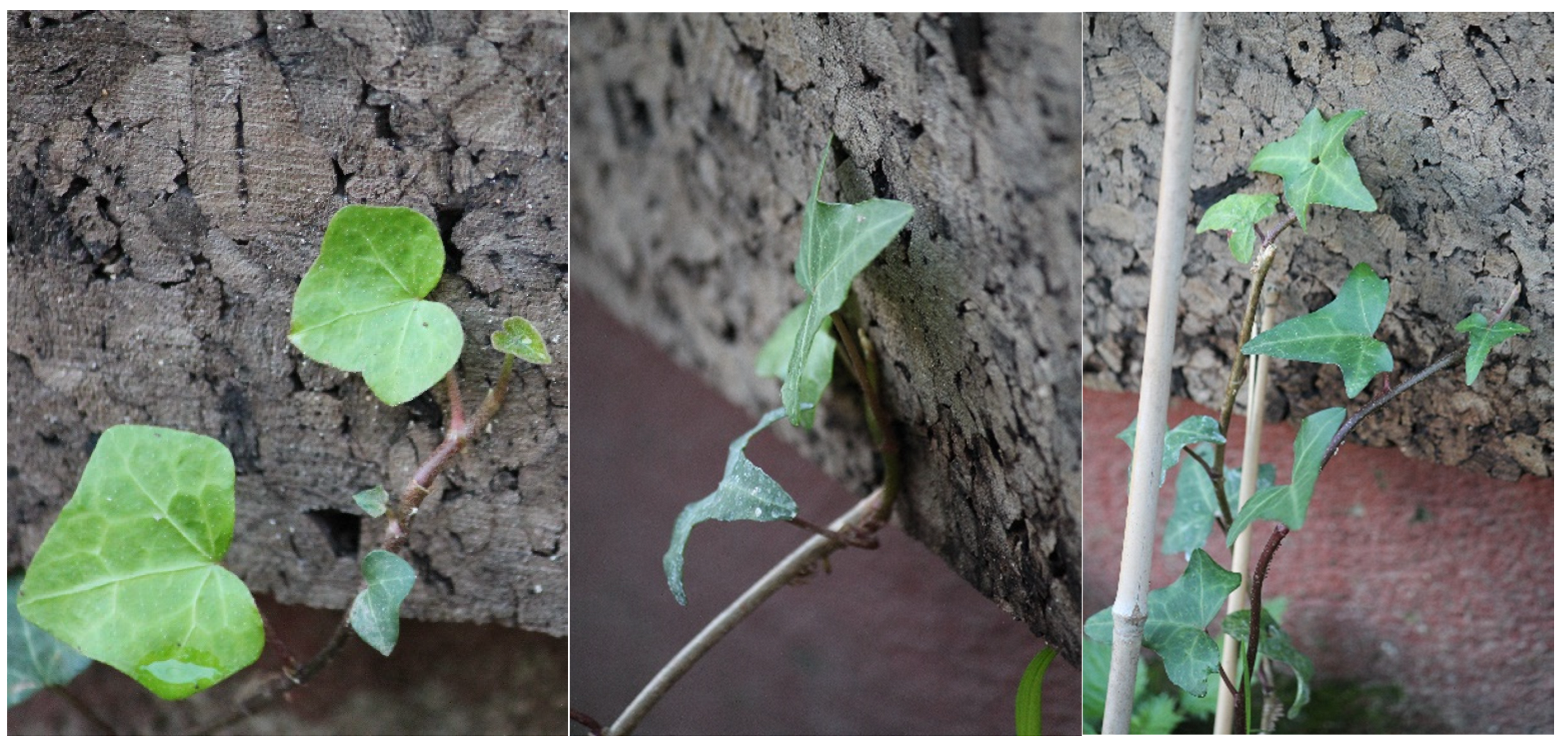 Sustainability 15 05446 g004 Sustainability 15 05446 g004