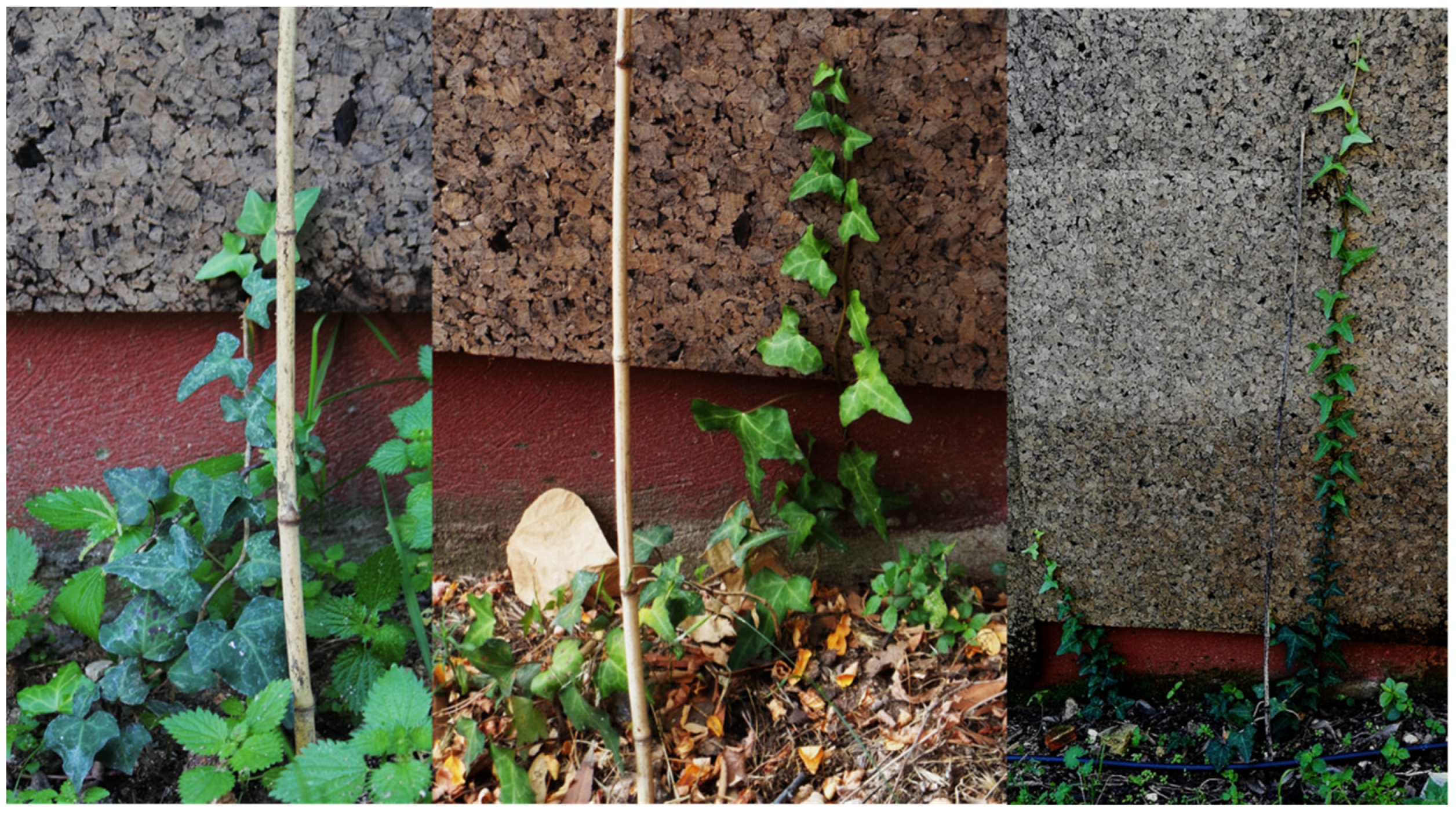 Sustainability 15 05446 g005 Sustainability 15 05446 g005