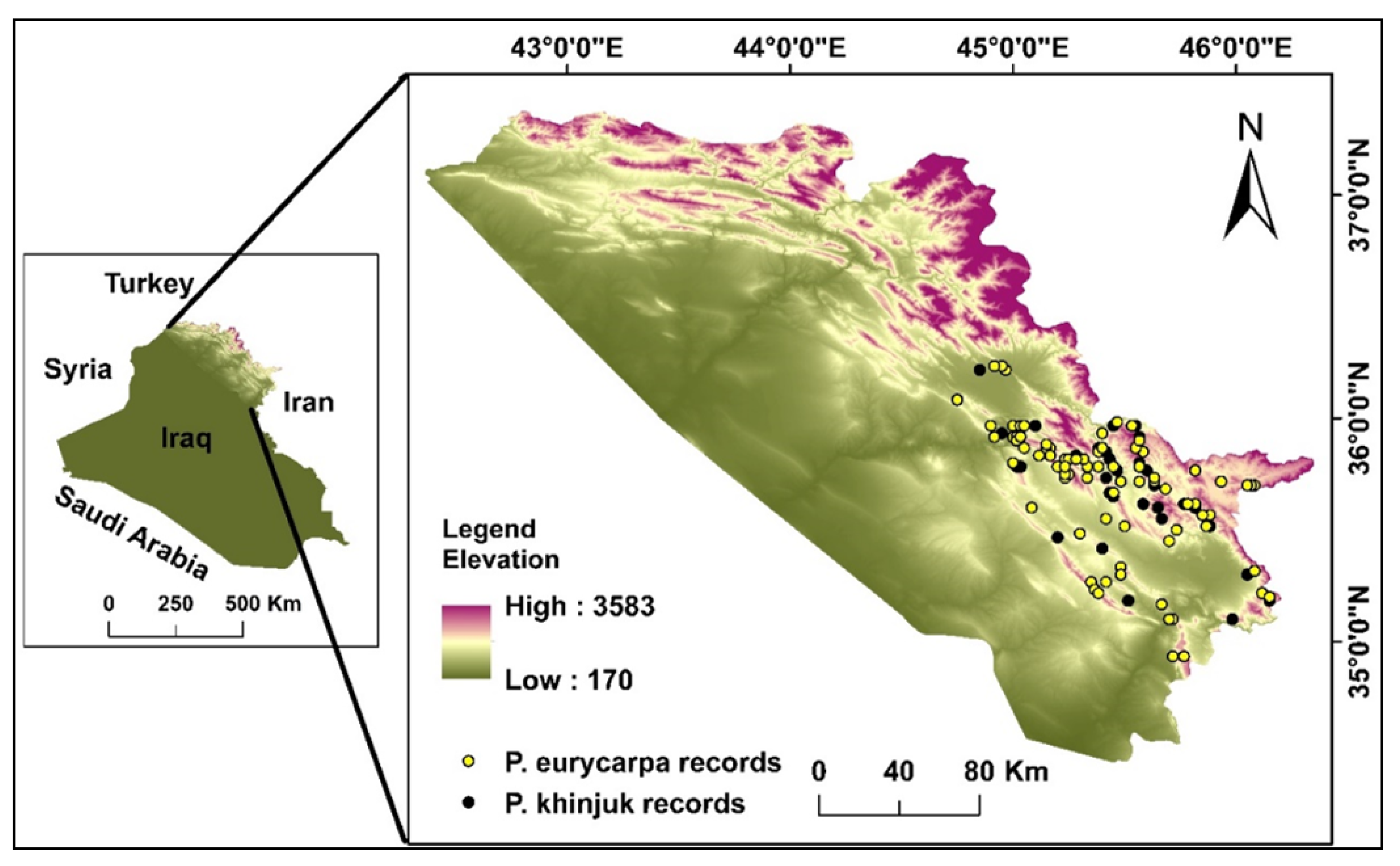 Sustainability 15 05469 g001 Sustainability 15 05469 g001