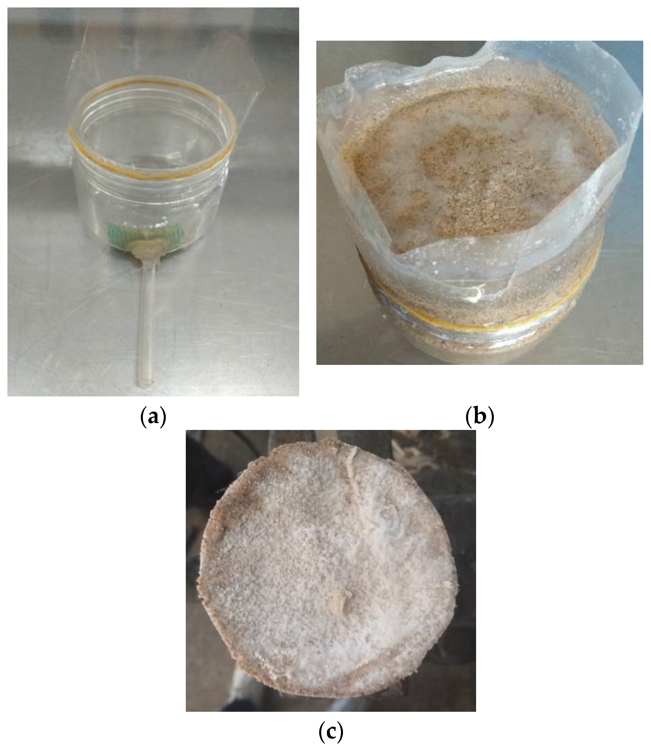 Sustainability 15 05567 g005