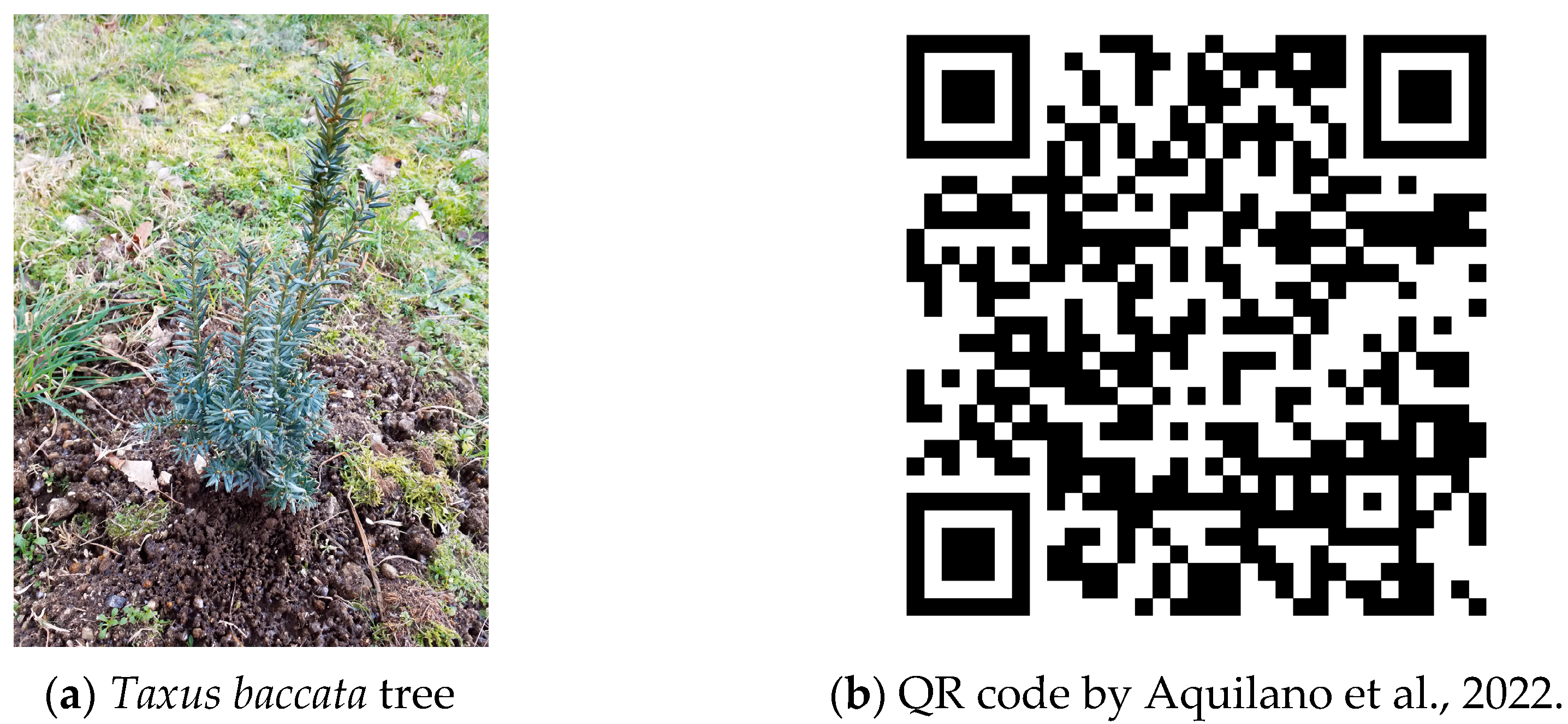 Sustainability 15 05616 g004