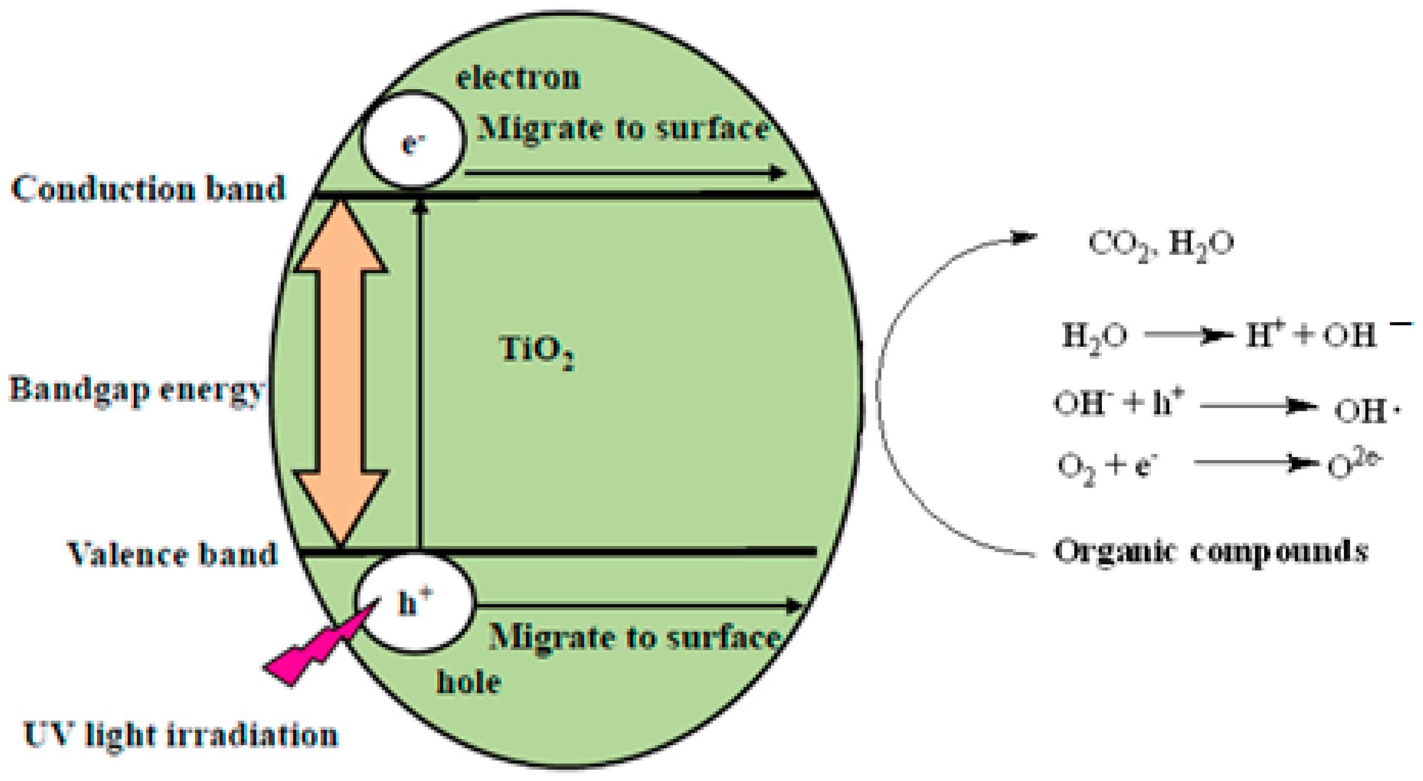 Sustainability 15 05650 g001