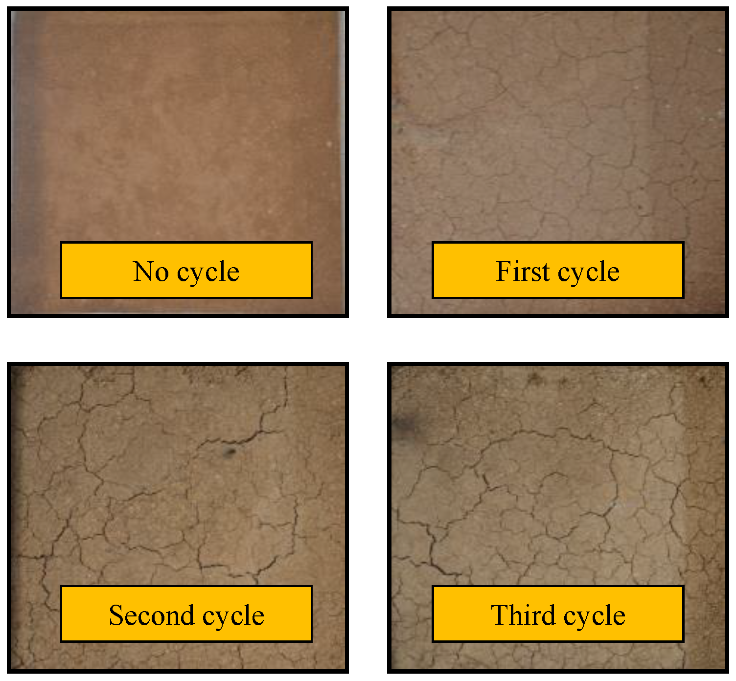 Sustainability 15 05655 g003 550