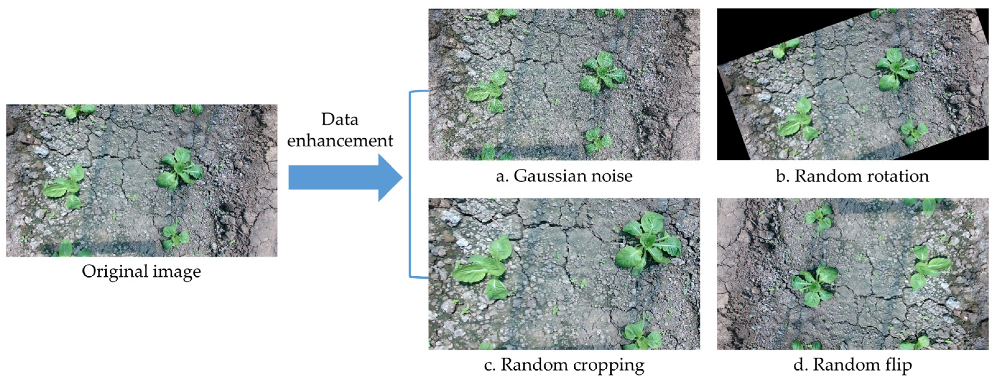 Sustainability 15 05764 g003