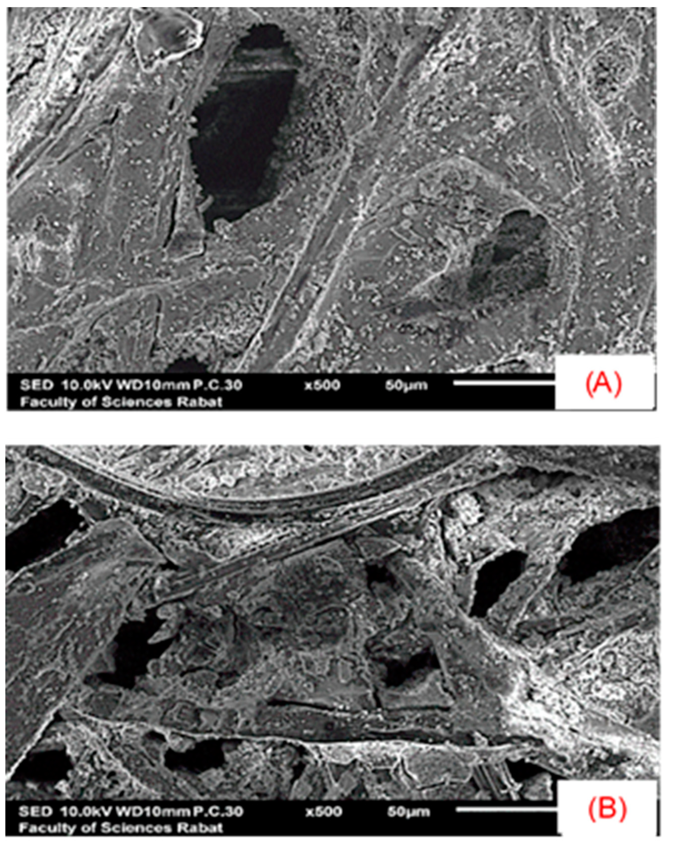 Sustainability 15 05788 g005 Sustainability 15 05788 g005