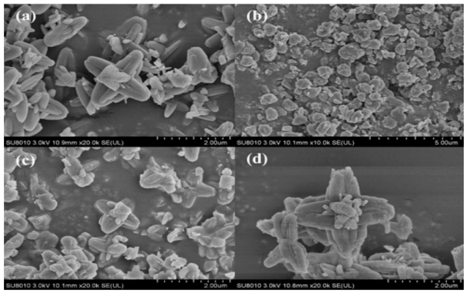 Sustainability 15 05827 g007a Sustainability 15 05827 g007a