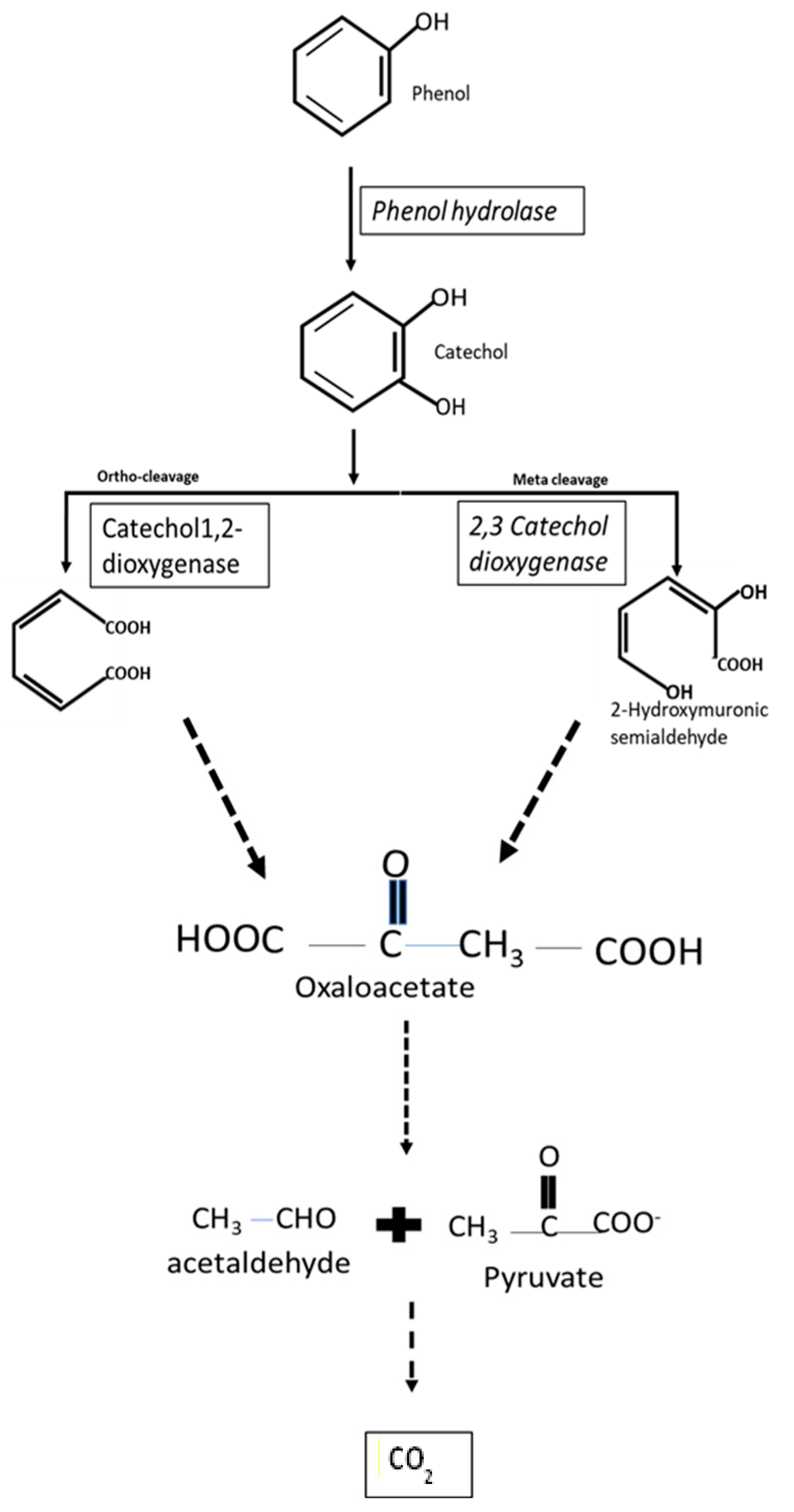 Sustainability 15 05847 g003 Sustainability 15 05847 g003