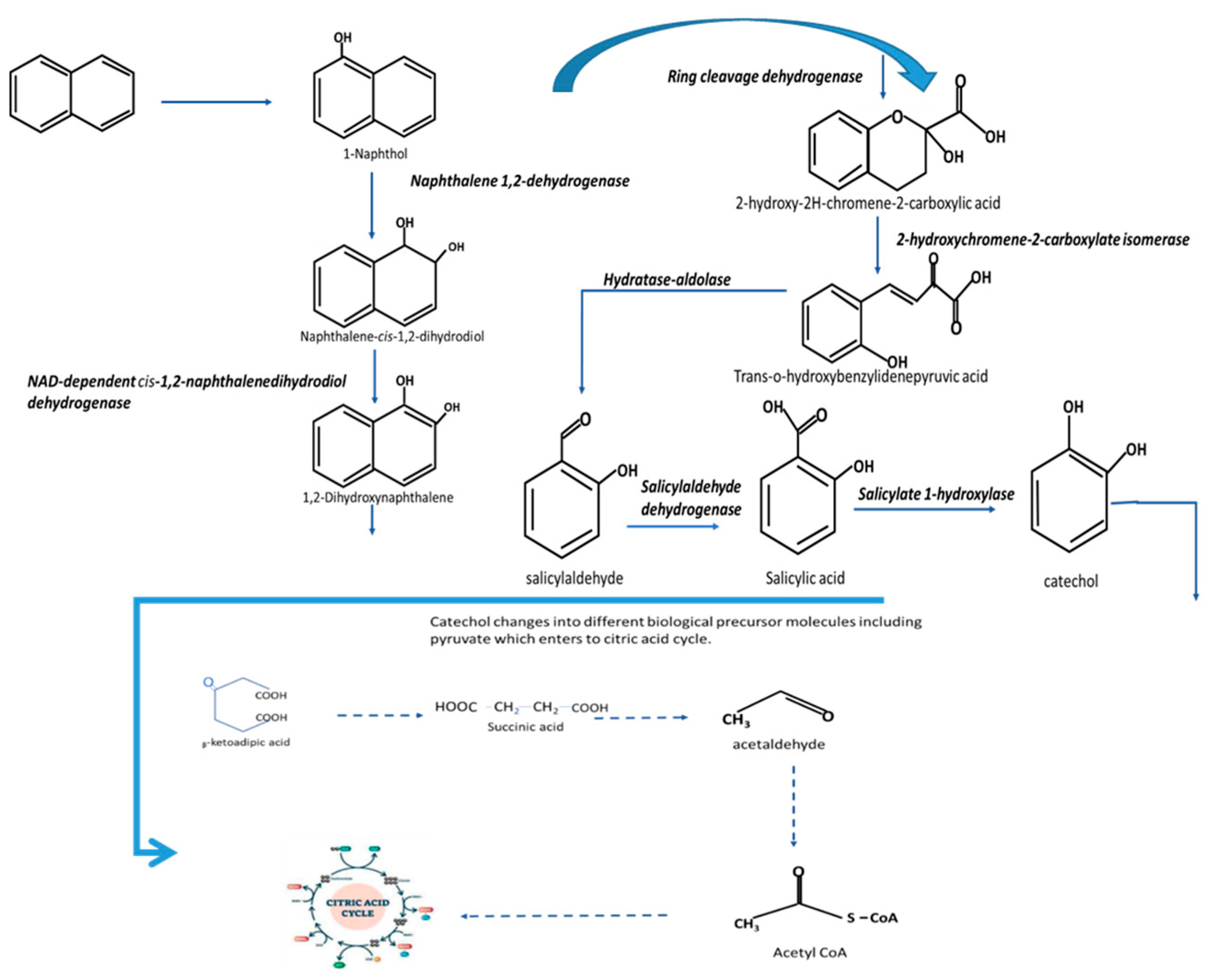 Sustainability 15 05847 g004 Sustainability 15 05847 g004