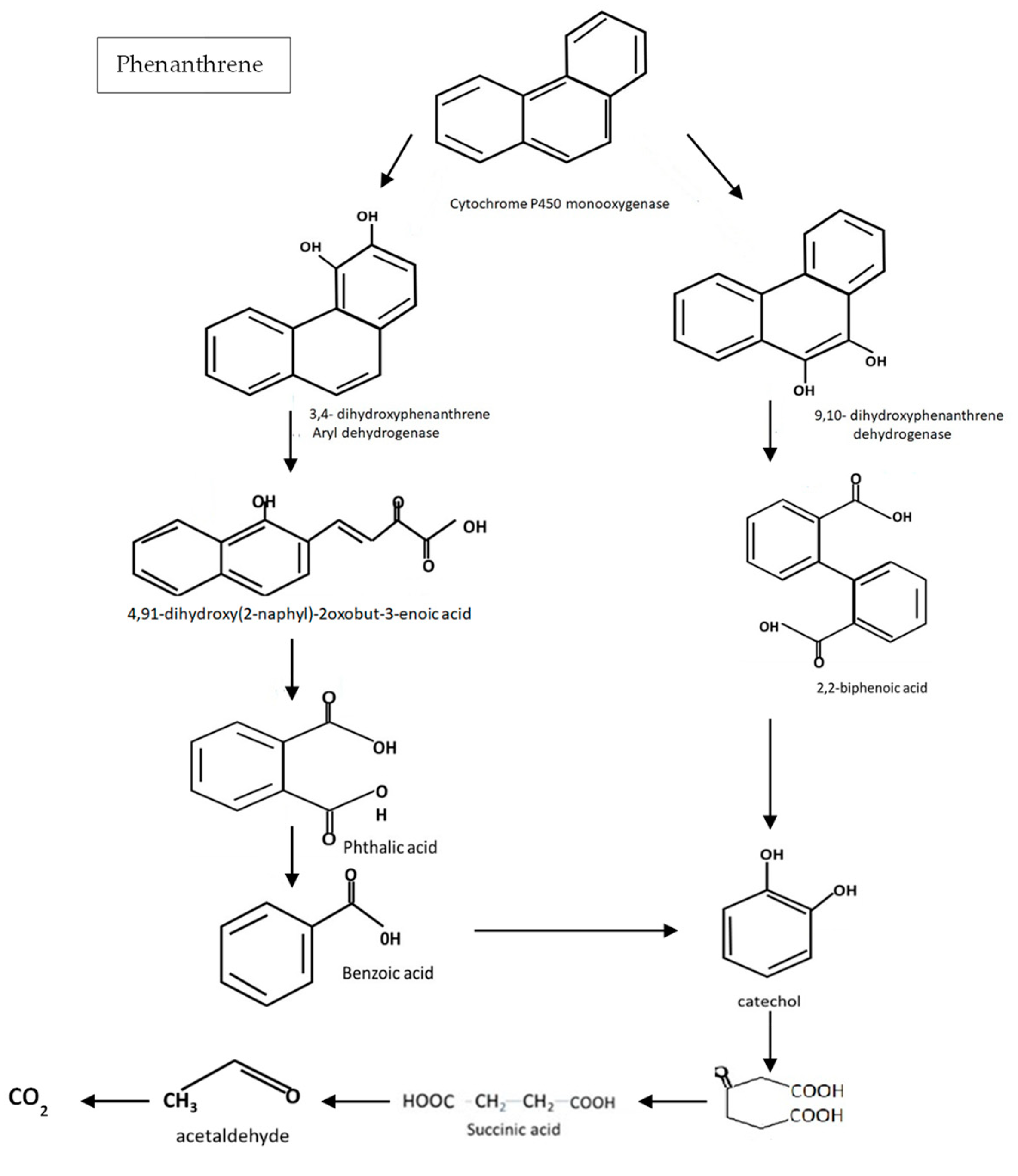 Sustainability 15 05847 g005 Sustainability 15 05847 g005