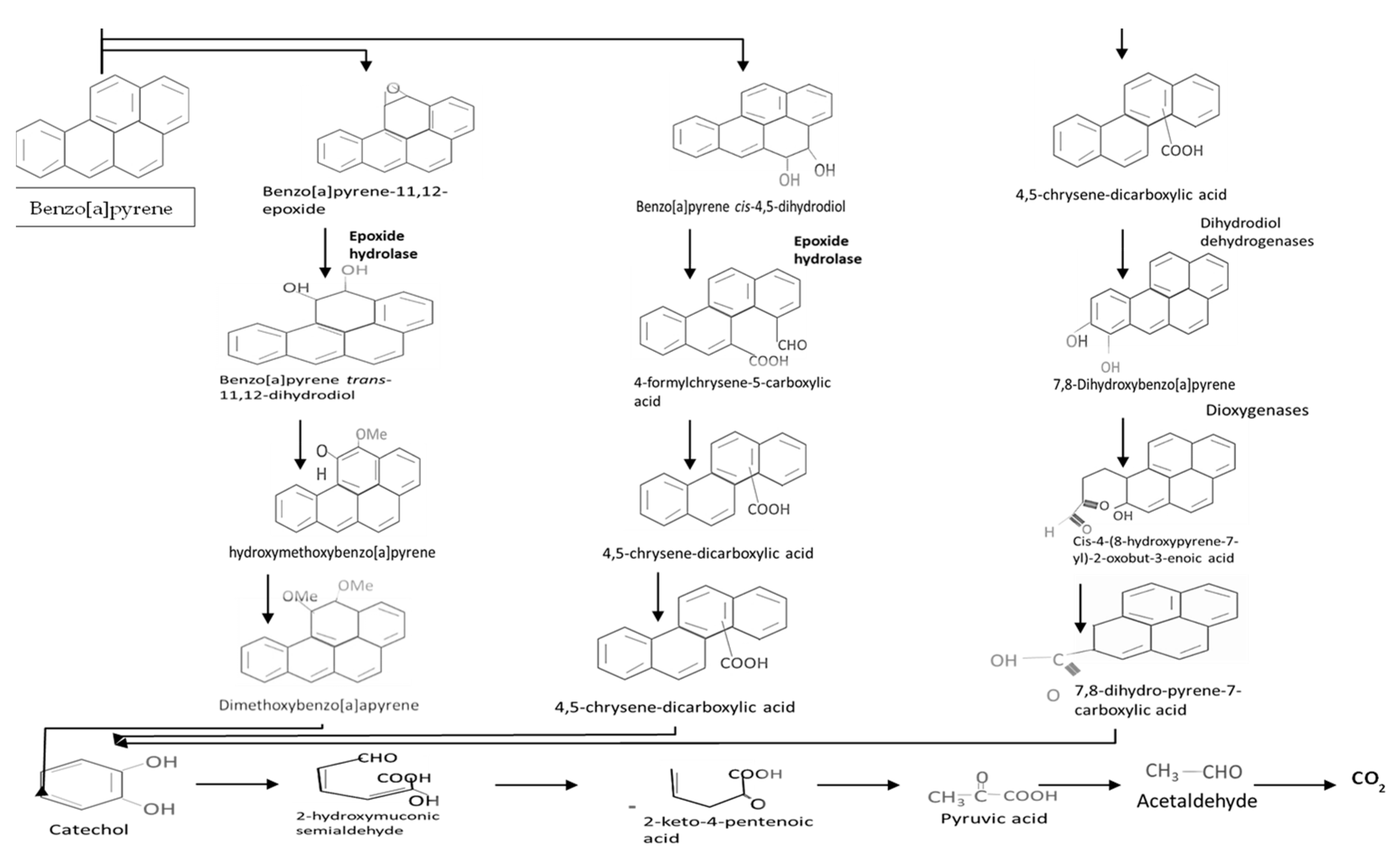 Sustainability 15 05847 g008 Sustainability 15 05847 g008