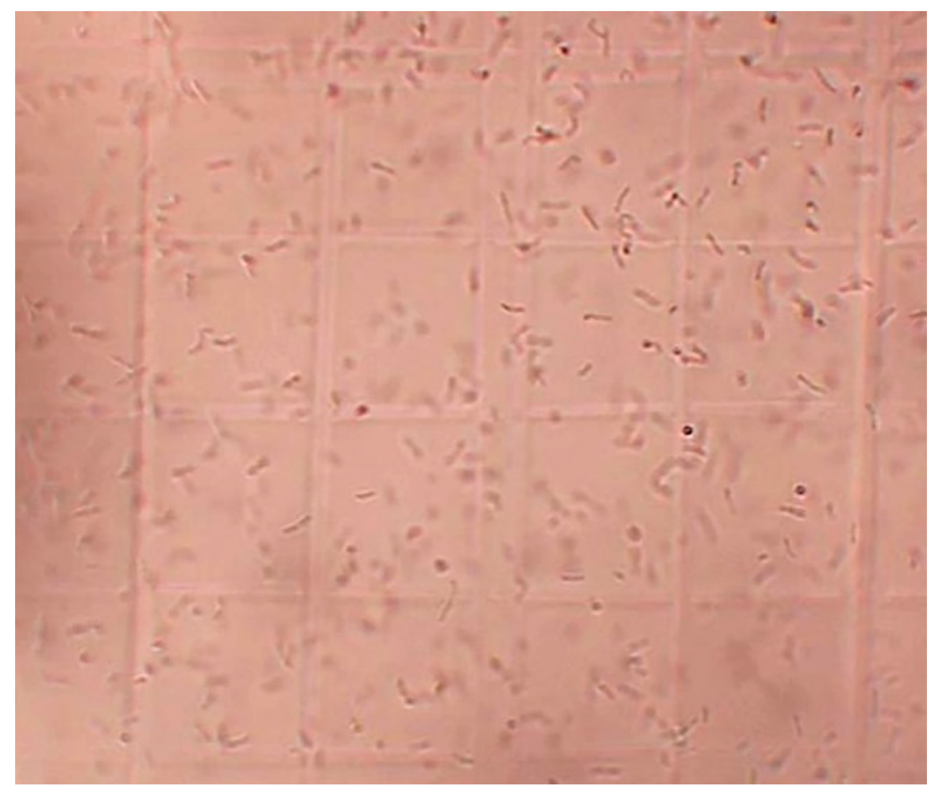 Sustainability 15 05901 g001