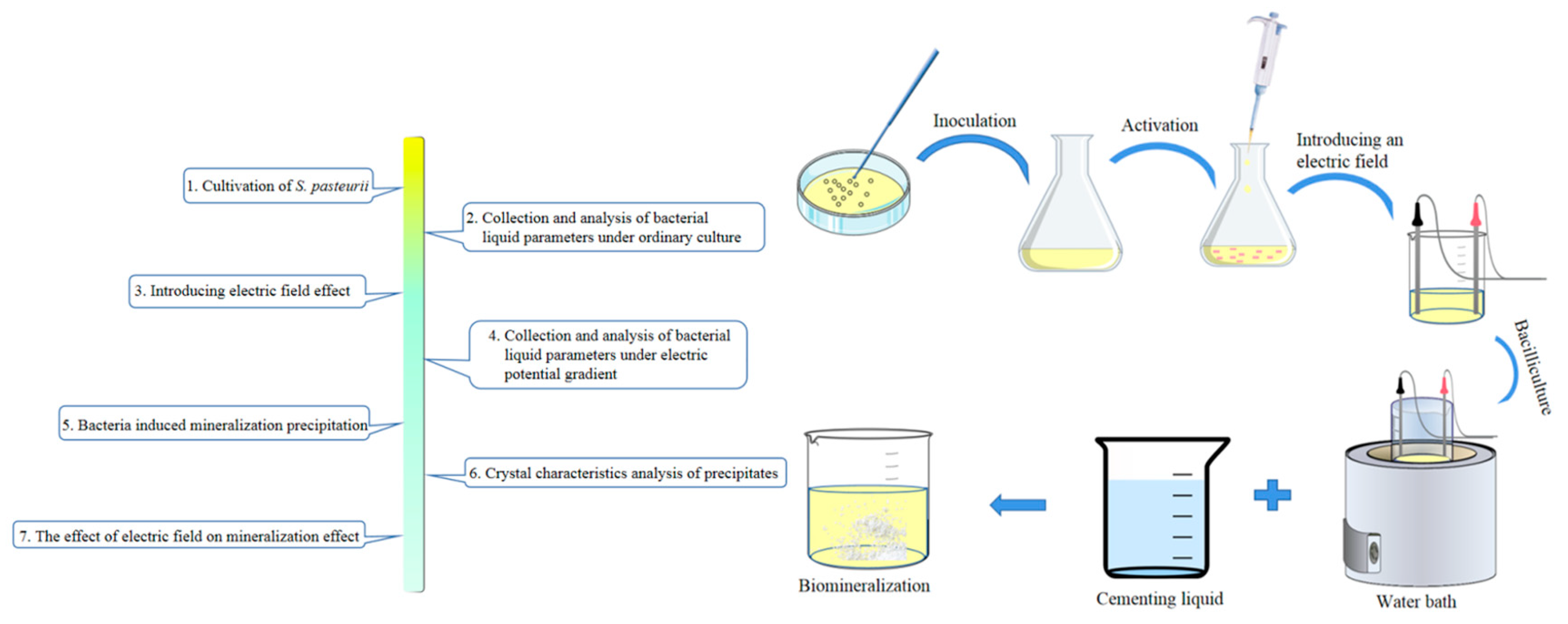 Sustainability 15 05901 g002