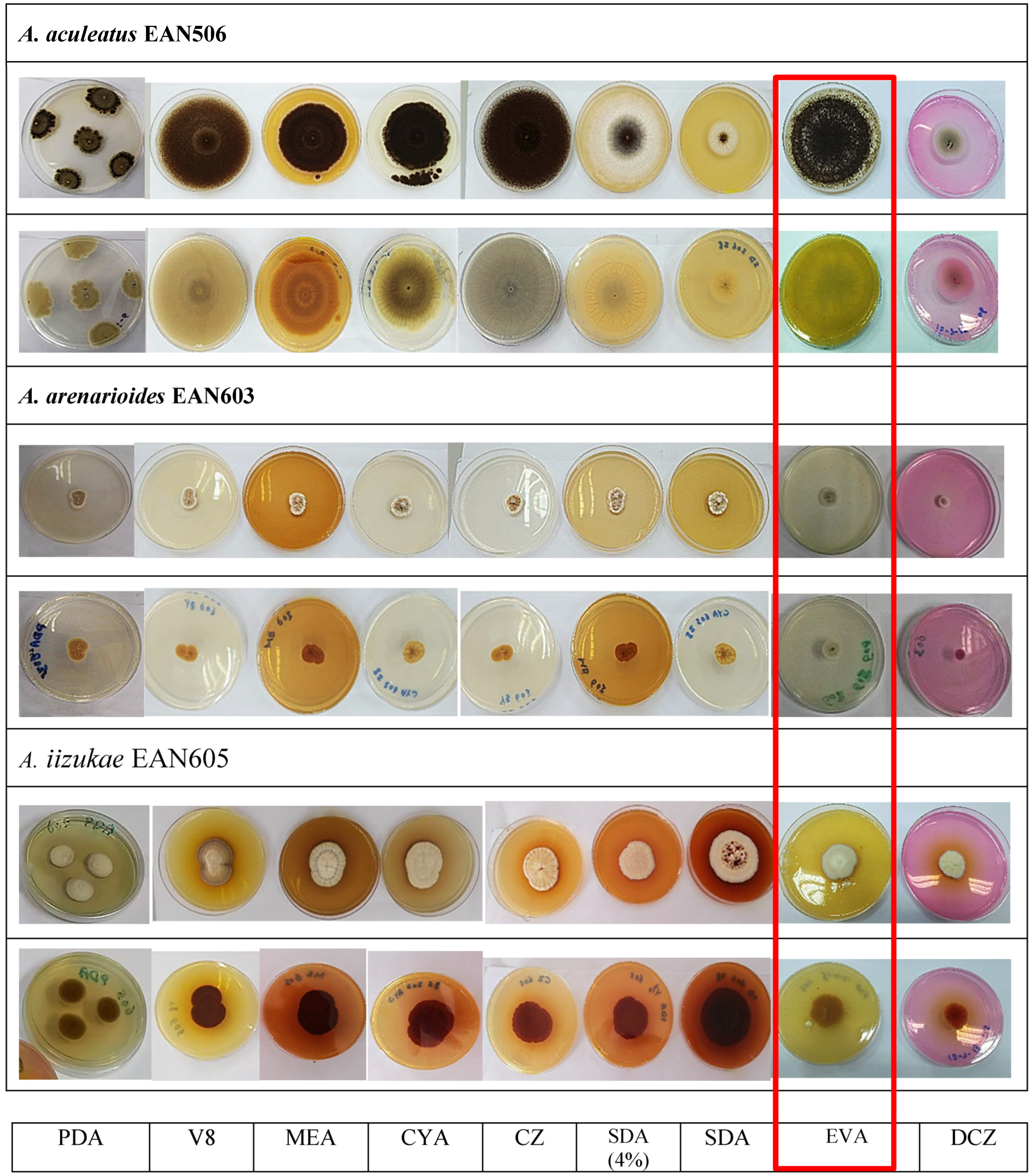 Sustainability 15 05902 g003
