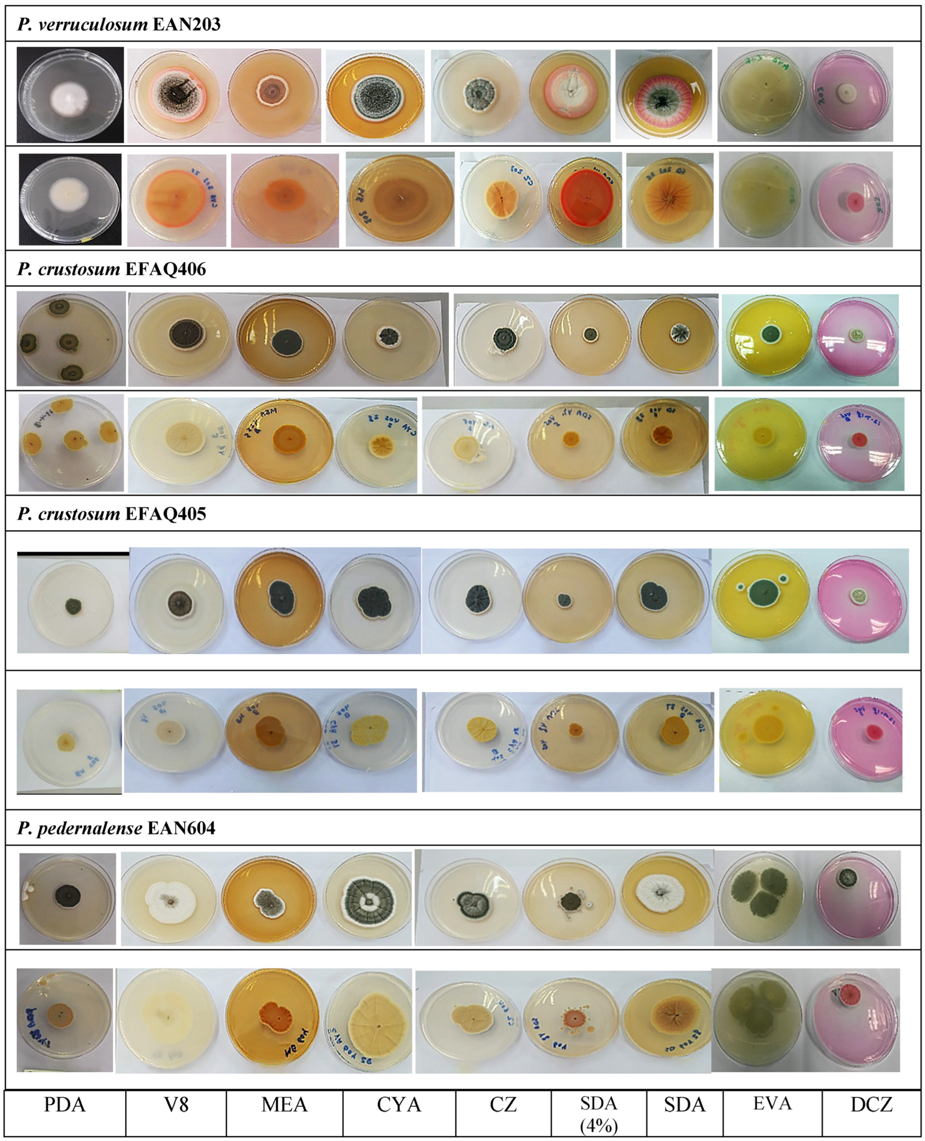Sustainability 15 05902 g004