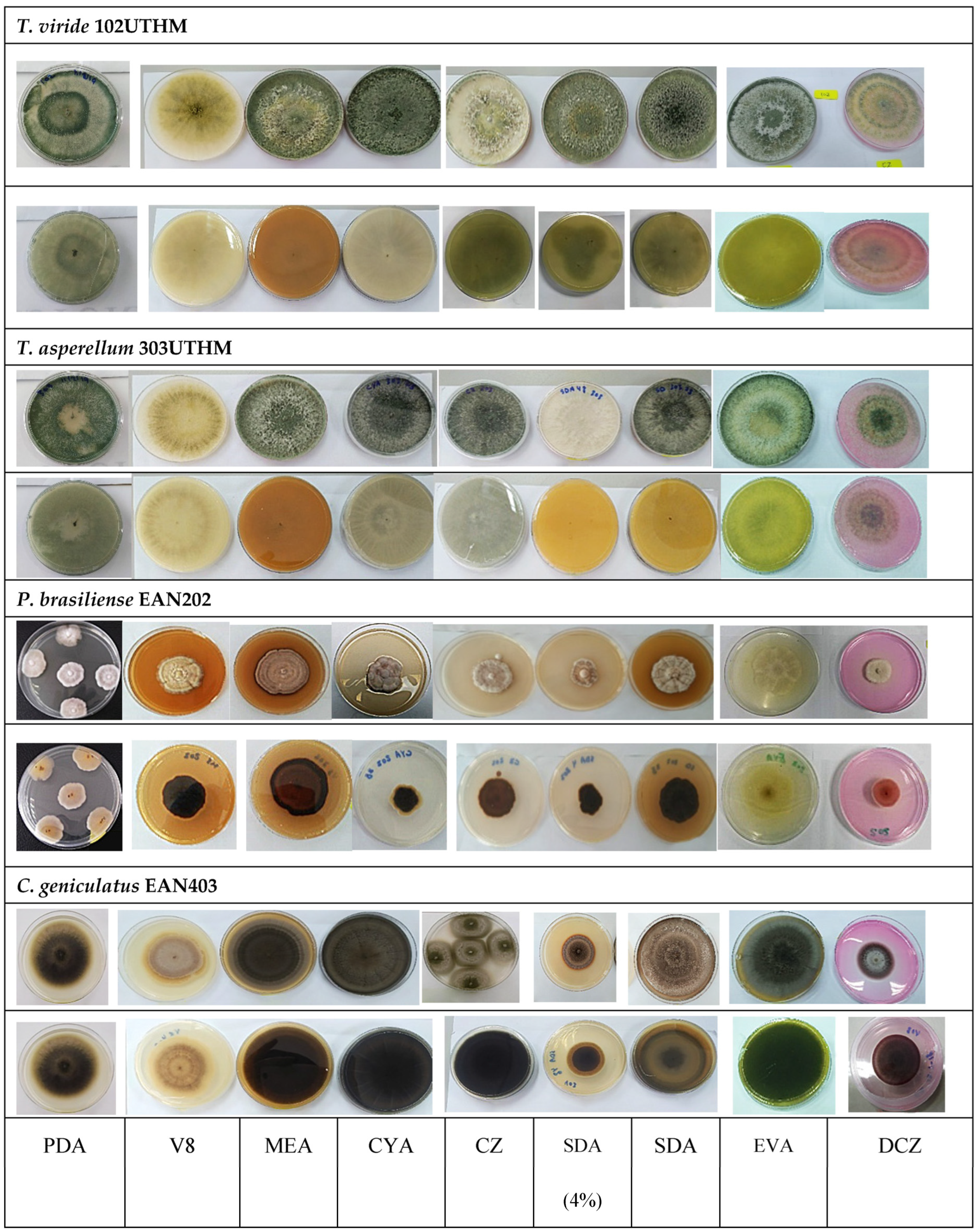 Sustainability 15 05902 g005