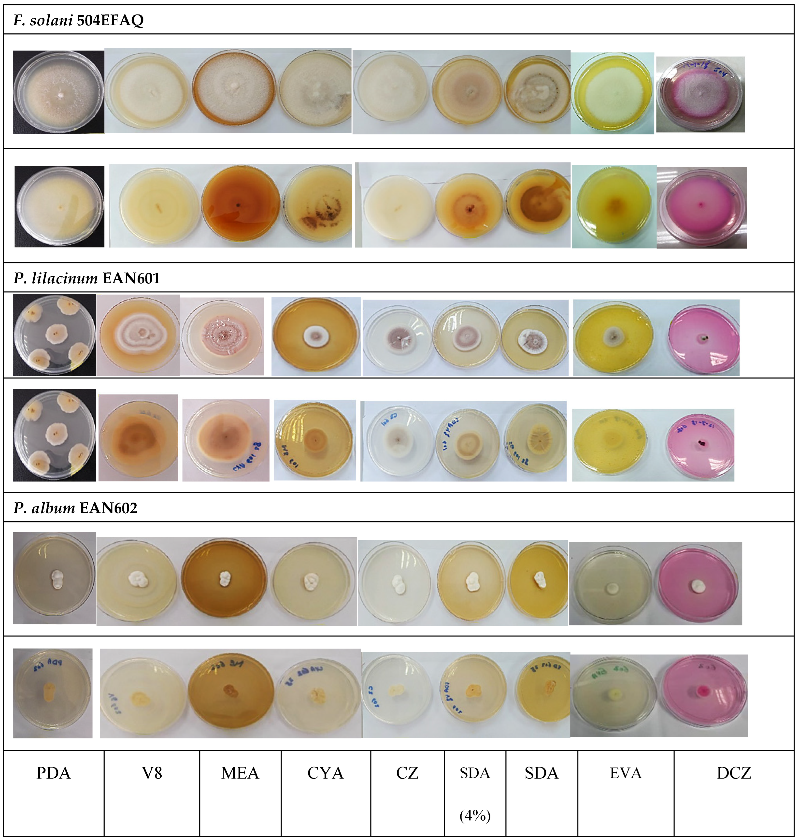 Sustainability 15 05902 g006