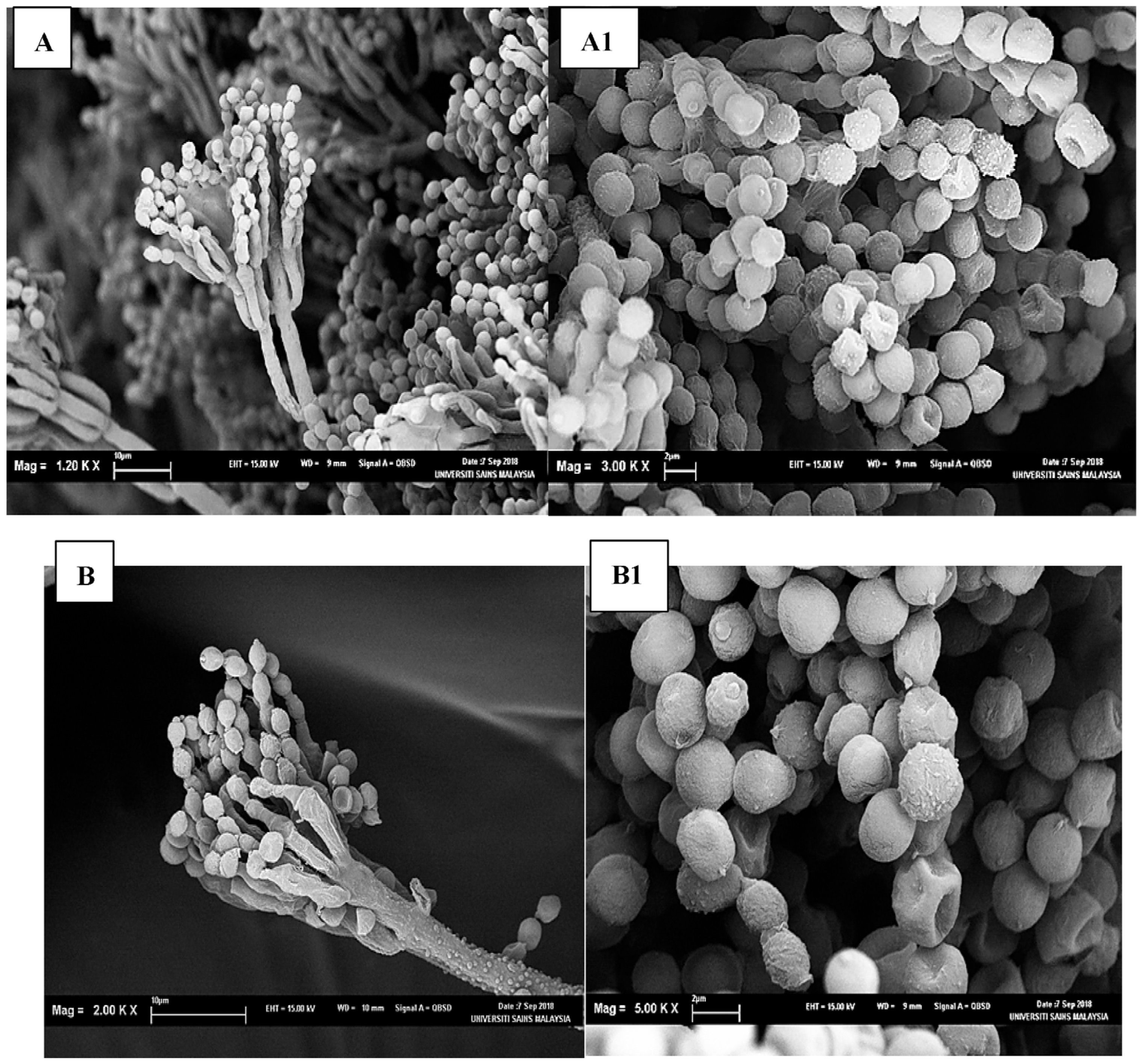 Sustainability 15 05902 g008