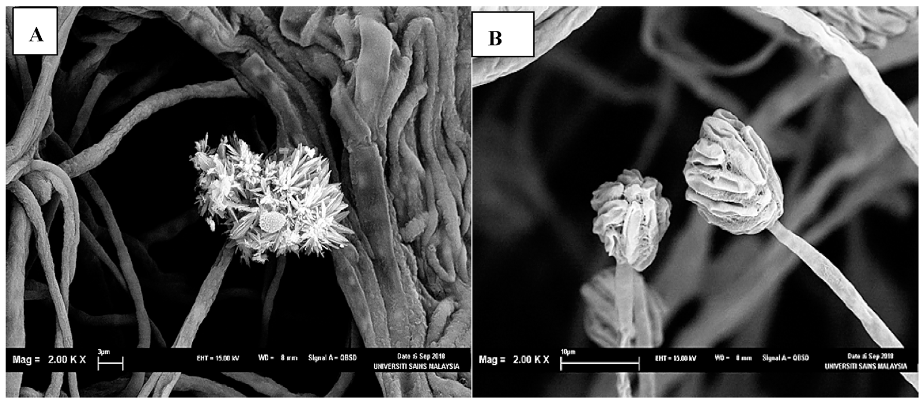 Sustainability 15 05902 g012