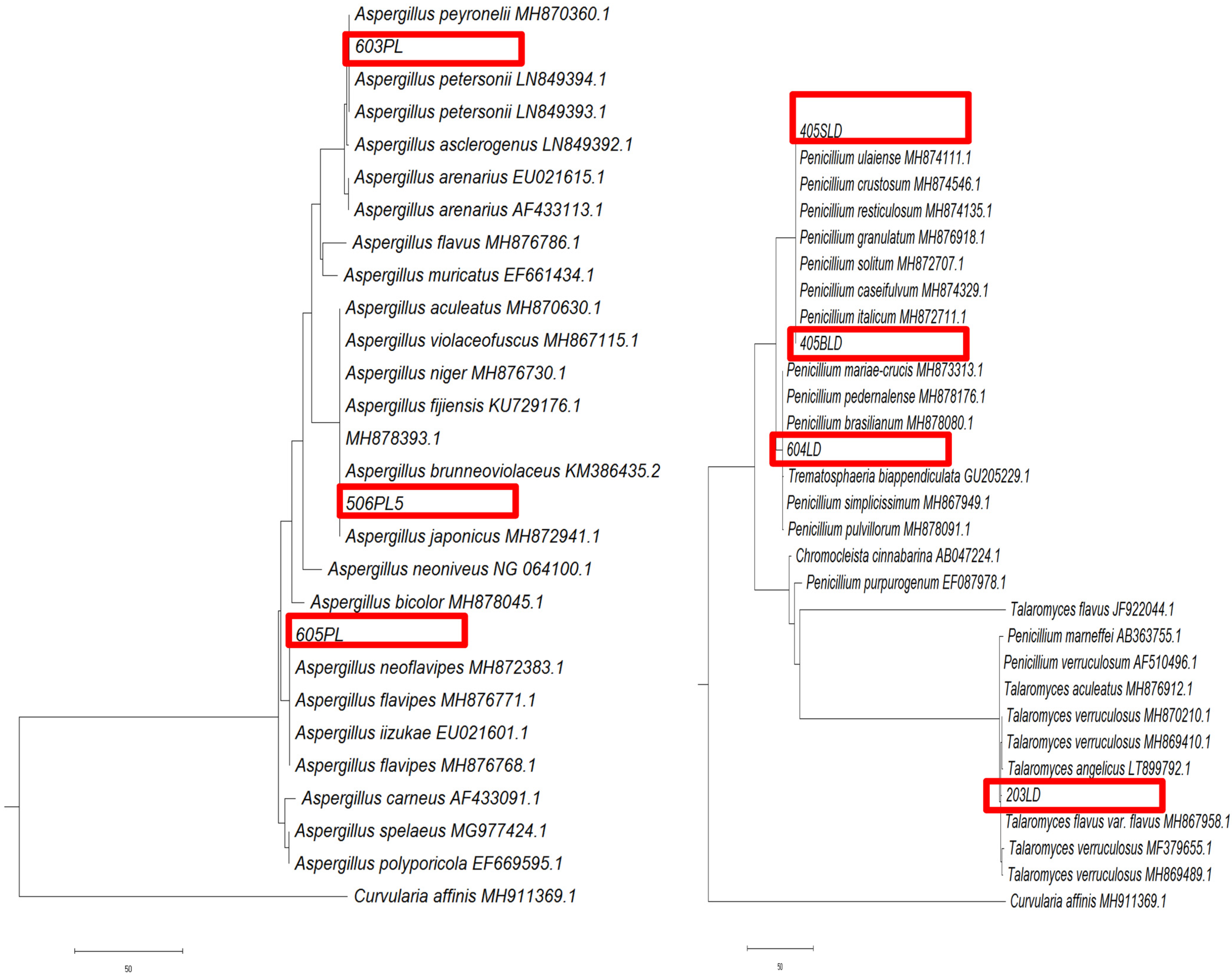 Sustainability 15 05902 g014