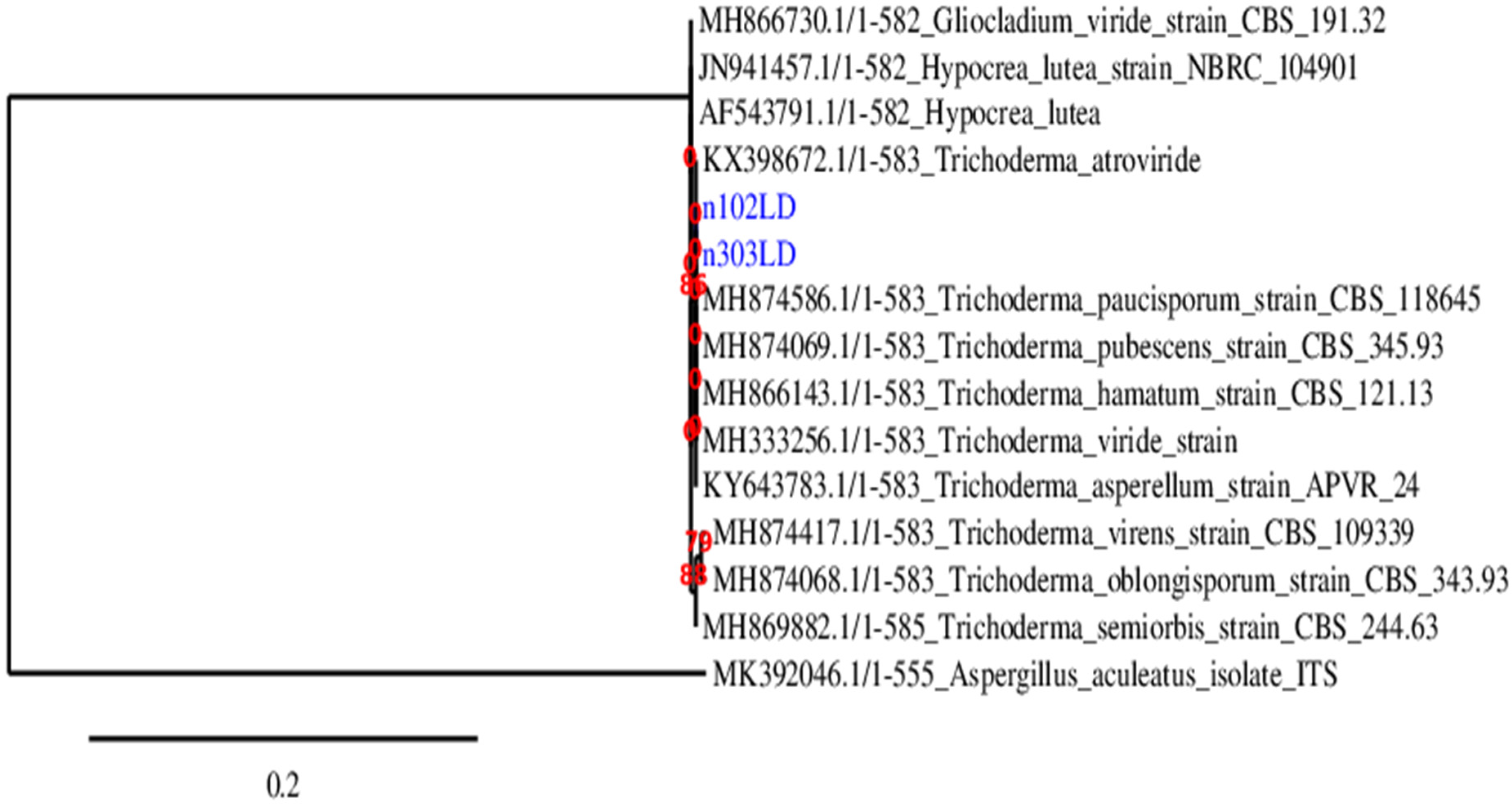 Sustainability 15 05902 g015