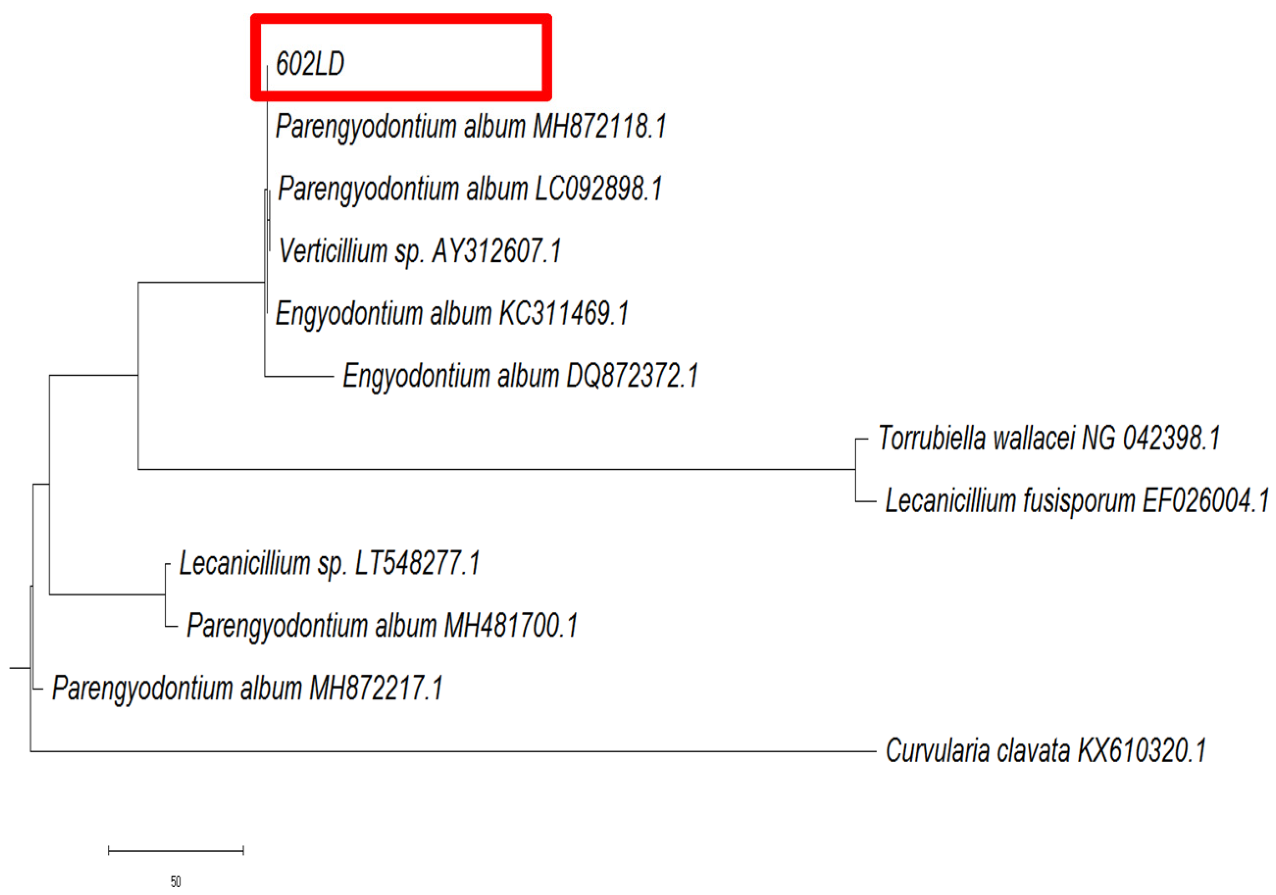 Sustainability 15 05902 g016