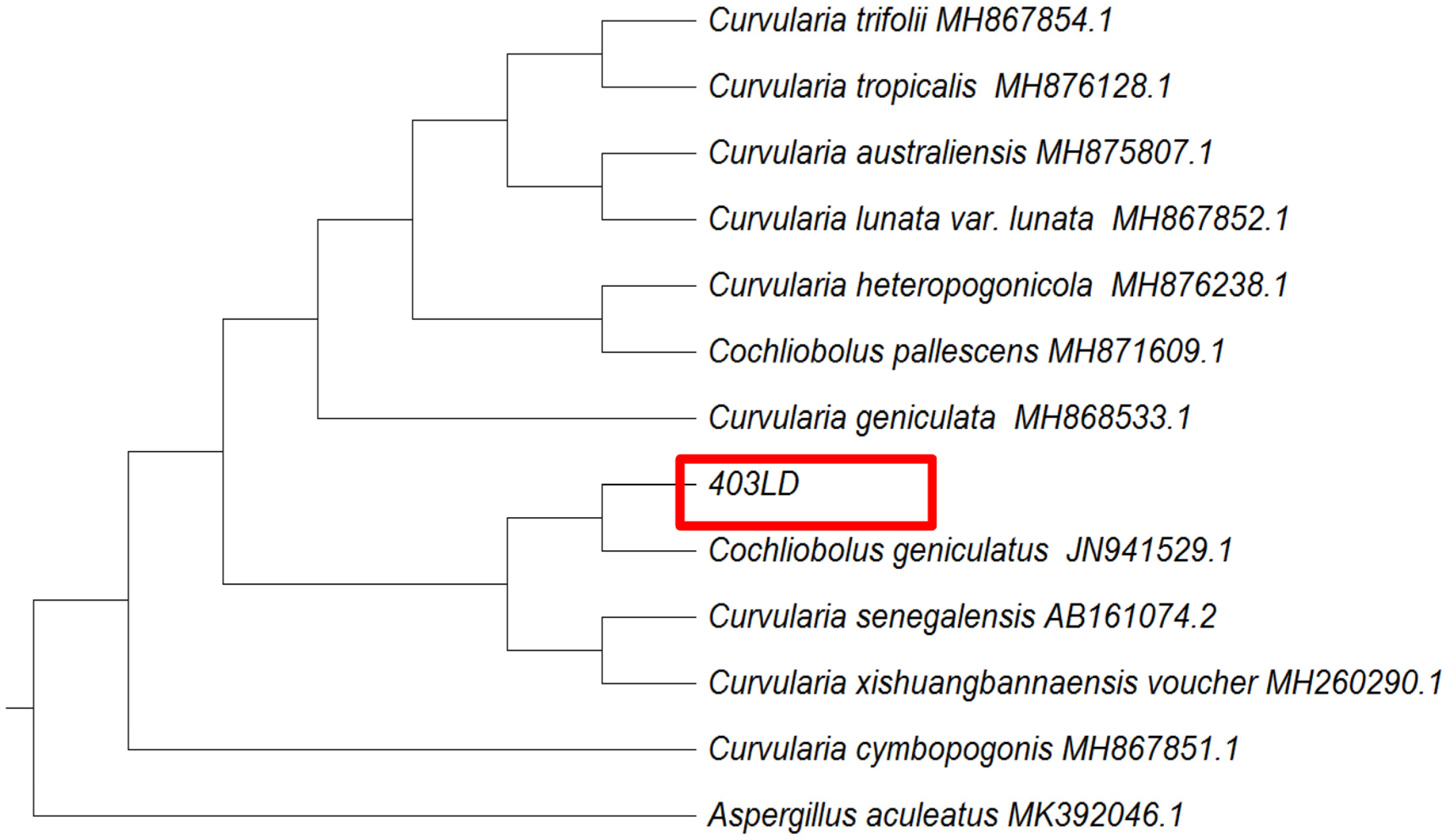 Sustainability 15 05902 g018