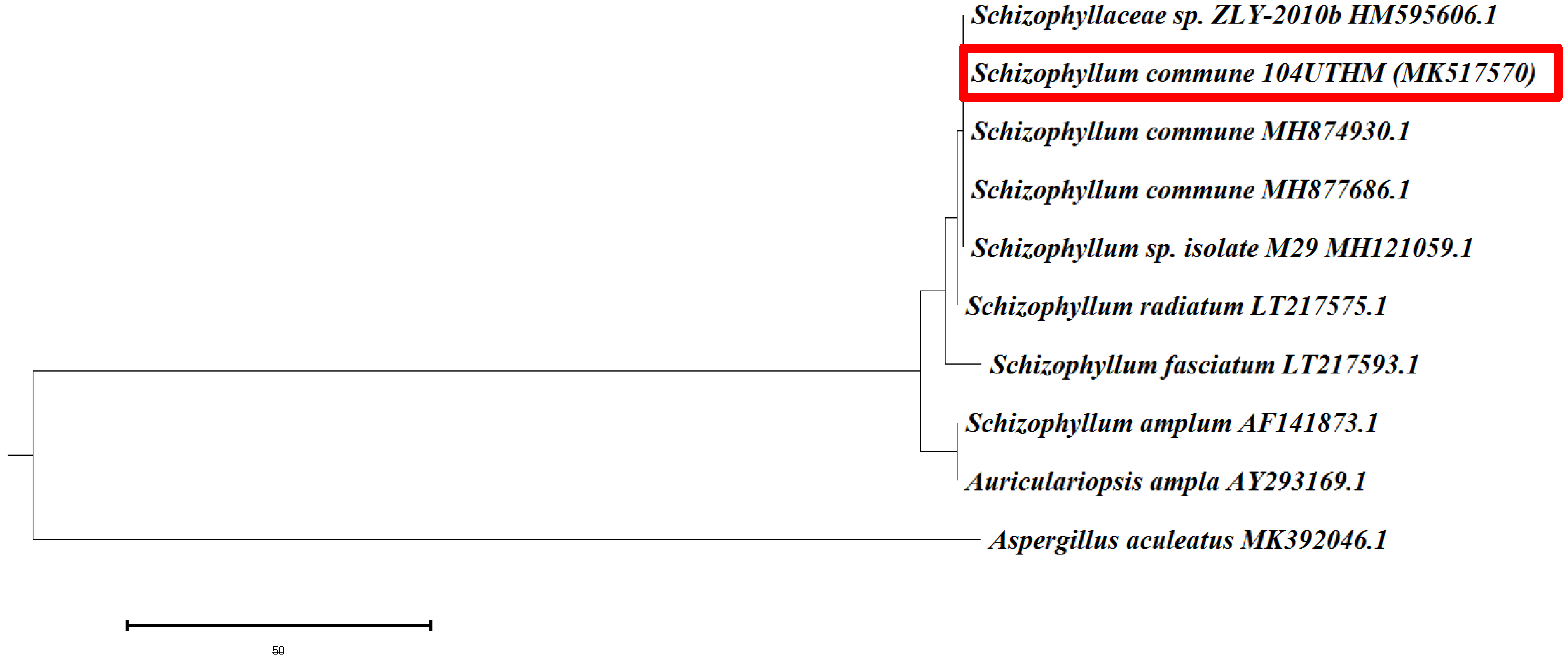 Sustainability 15 05902 g019