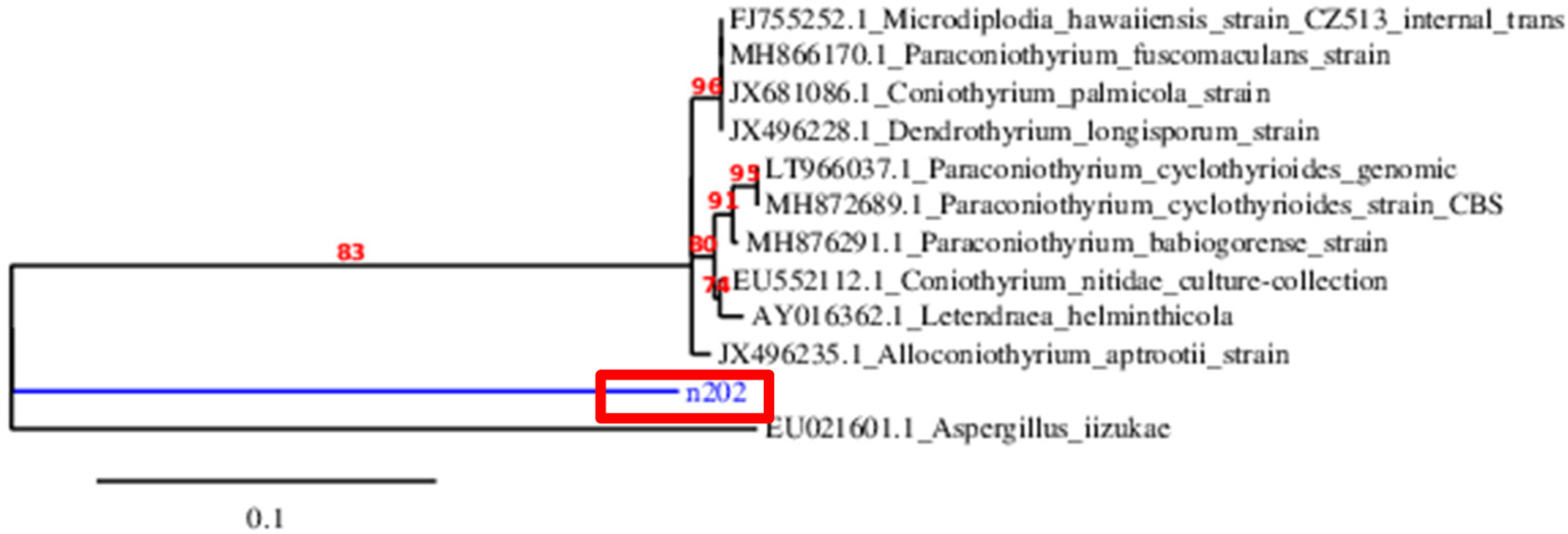 Sustainability 15 05902 g020