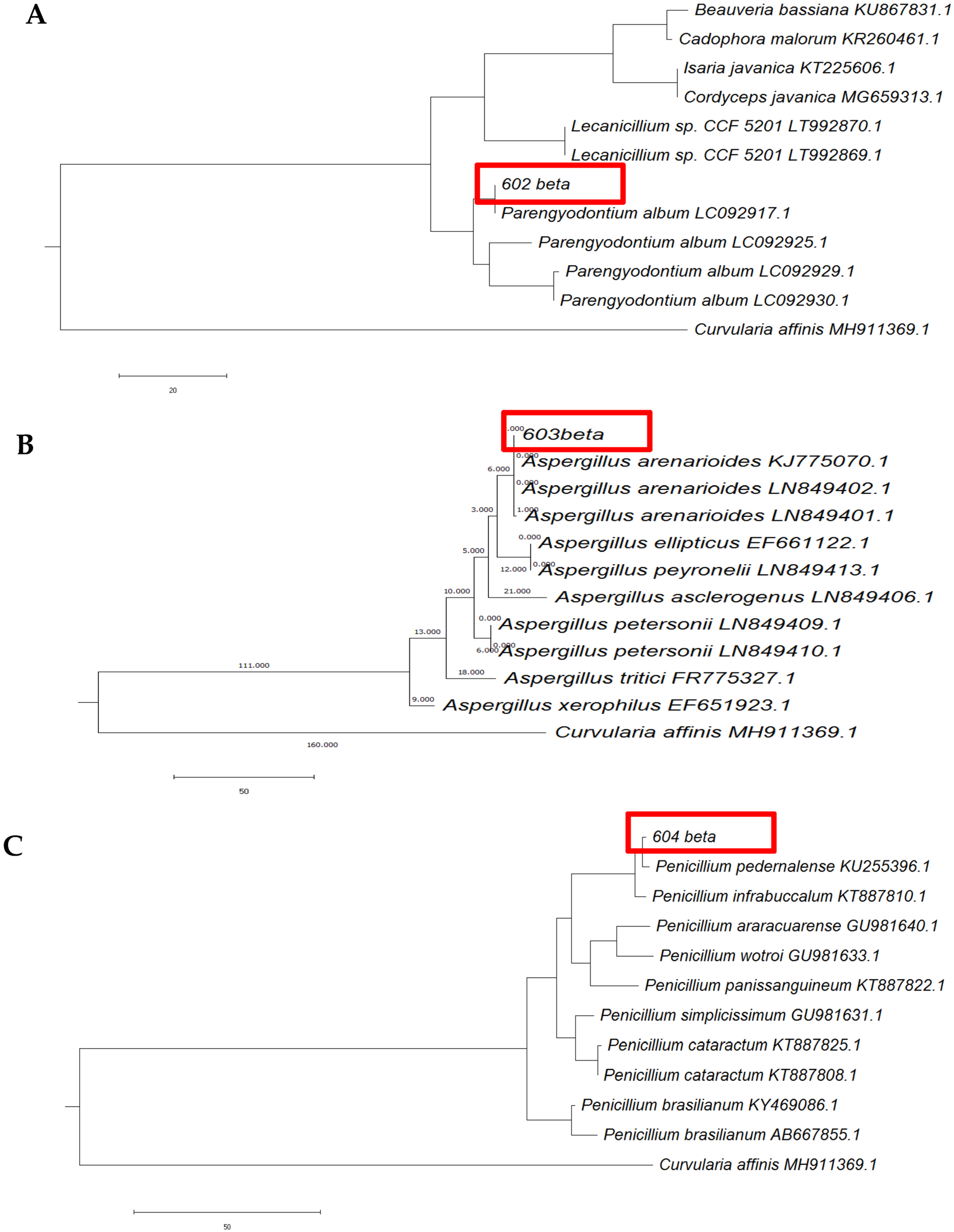 Sustainability 15 05902 g022