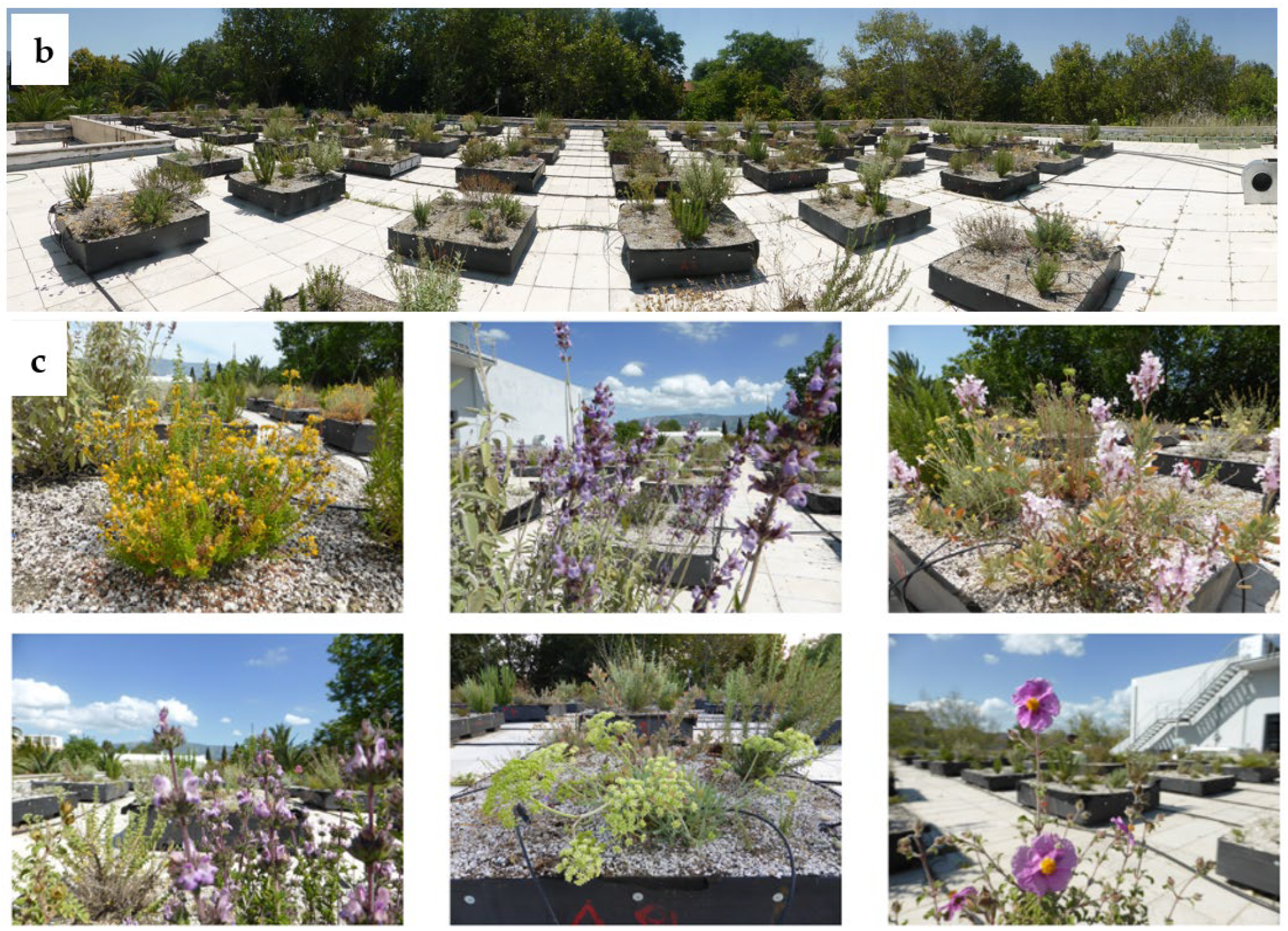 Sustainability 15 05940 g001b